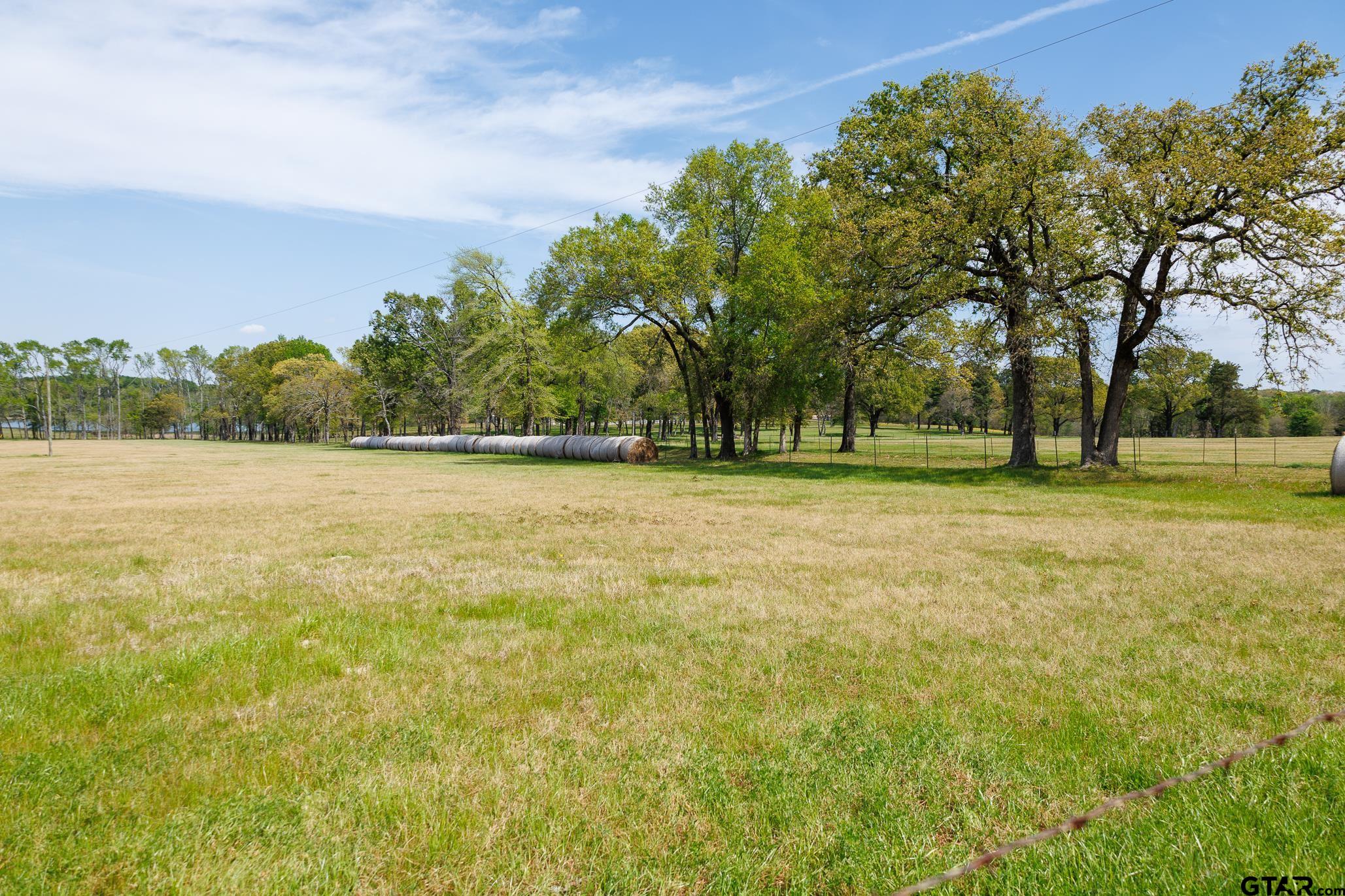 411 VZ County Road Ben Wheeler, TX 75754 - Photo 6 of 46 a view of a green field with trees in the background