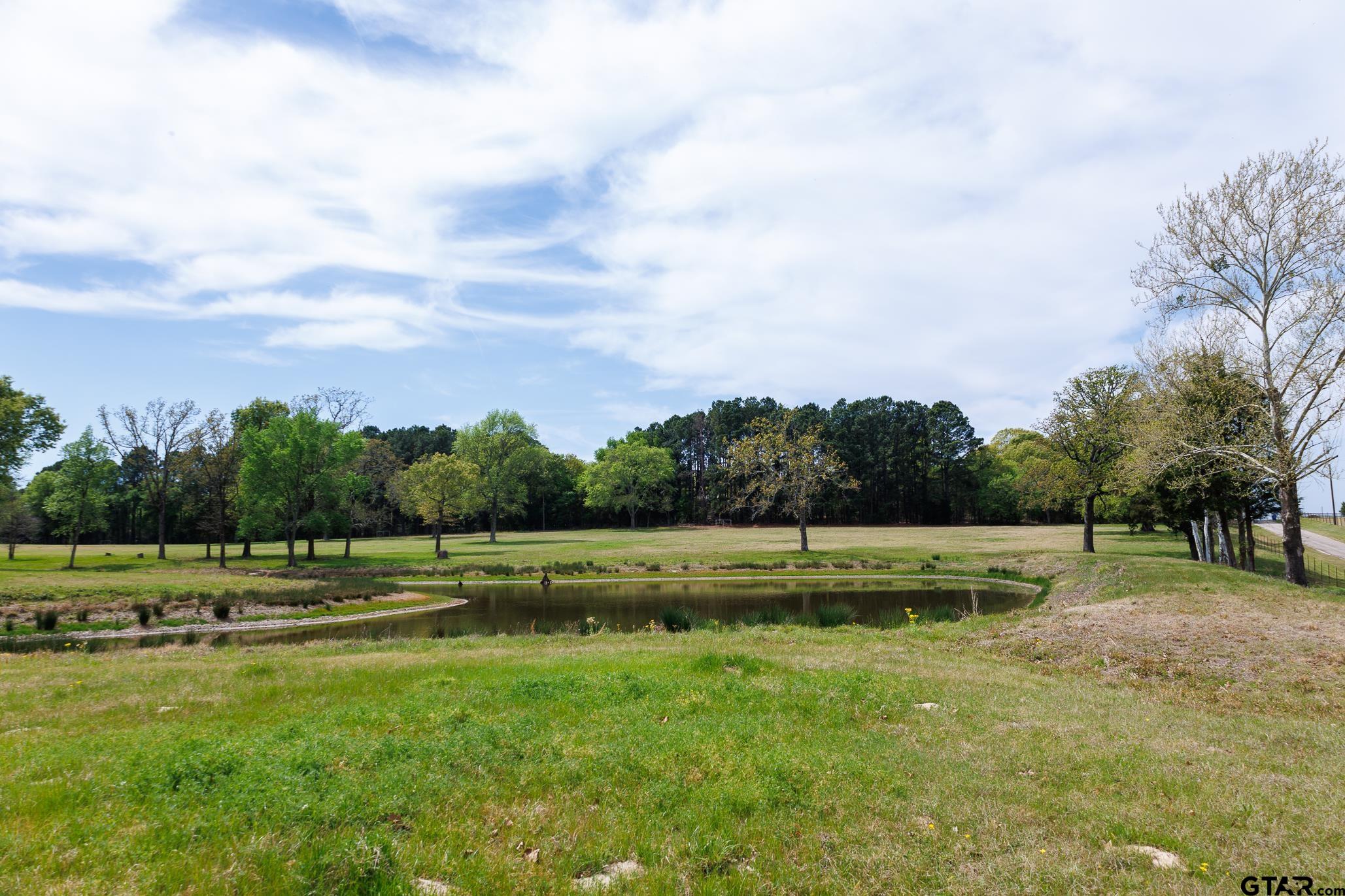411 VZ County Road Ben Wheeler, TX 75754 - Photo 7 of 46 a view of a park