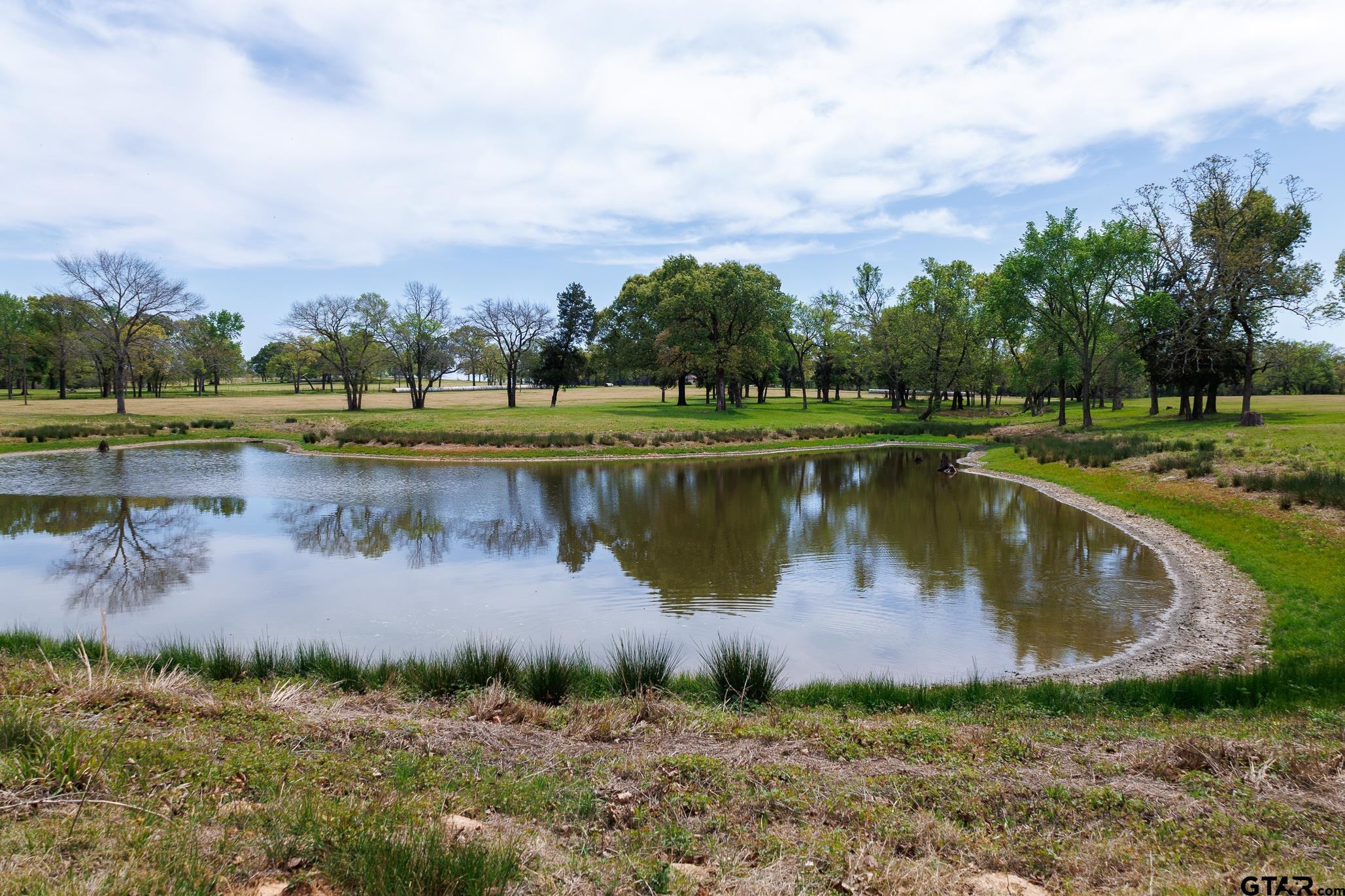 411 VZ County Road Ben Wheeler, TX 75754 - Photo 8 of 46 a view of a lake with a yard