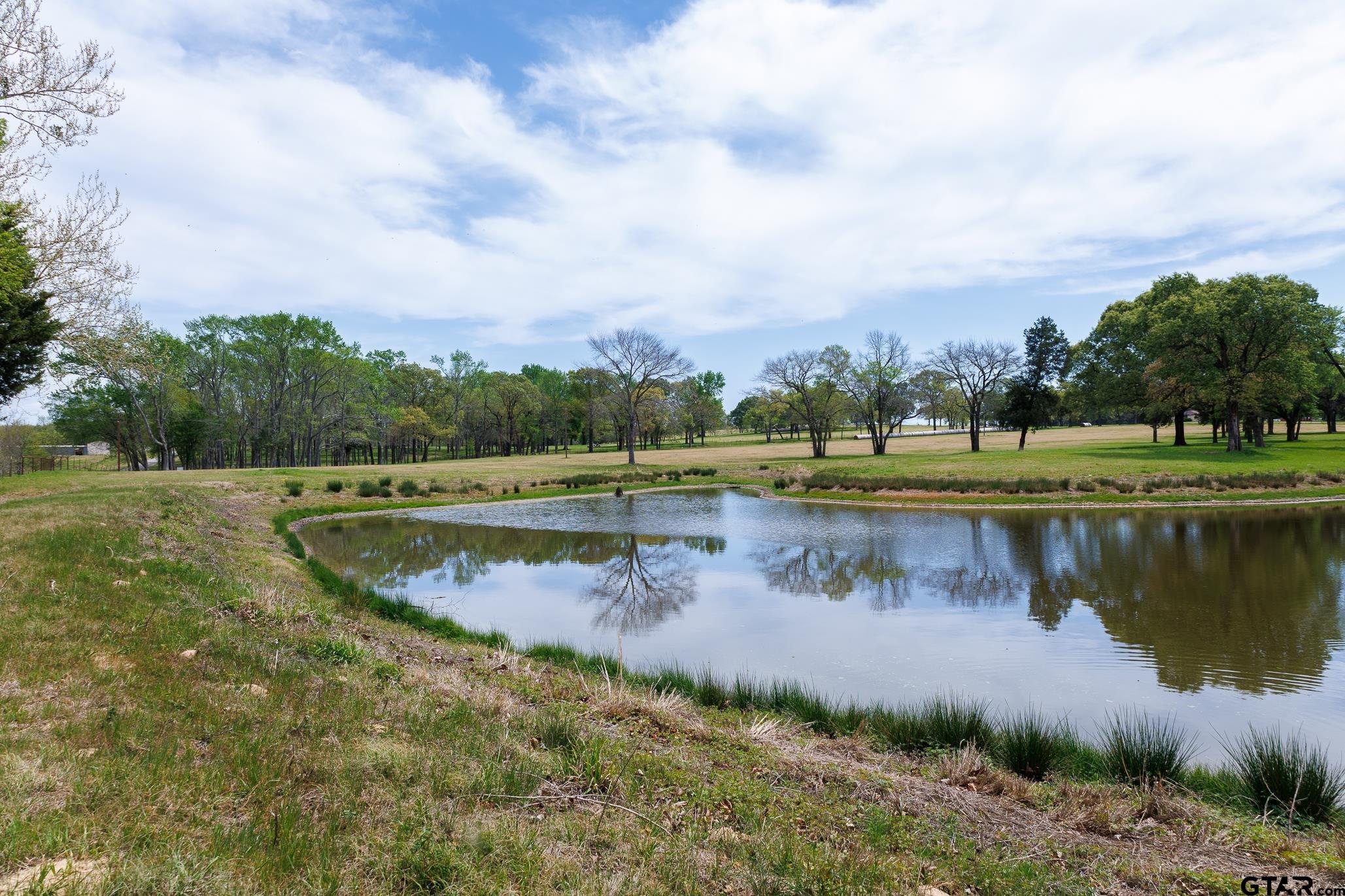 411 VZ County Road Ben Wheeler, TX 75754 - Photo 9 of 46 a view of a lake with houses in the back