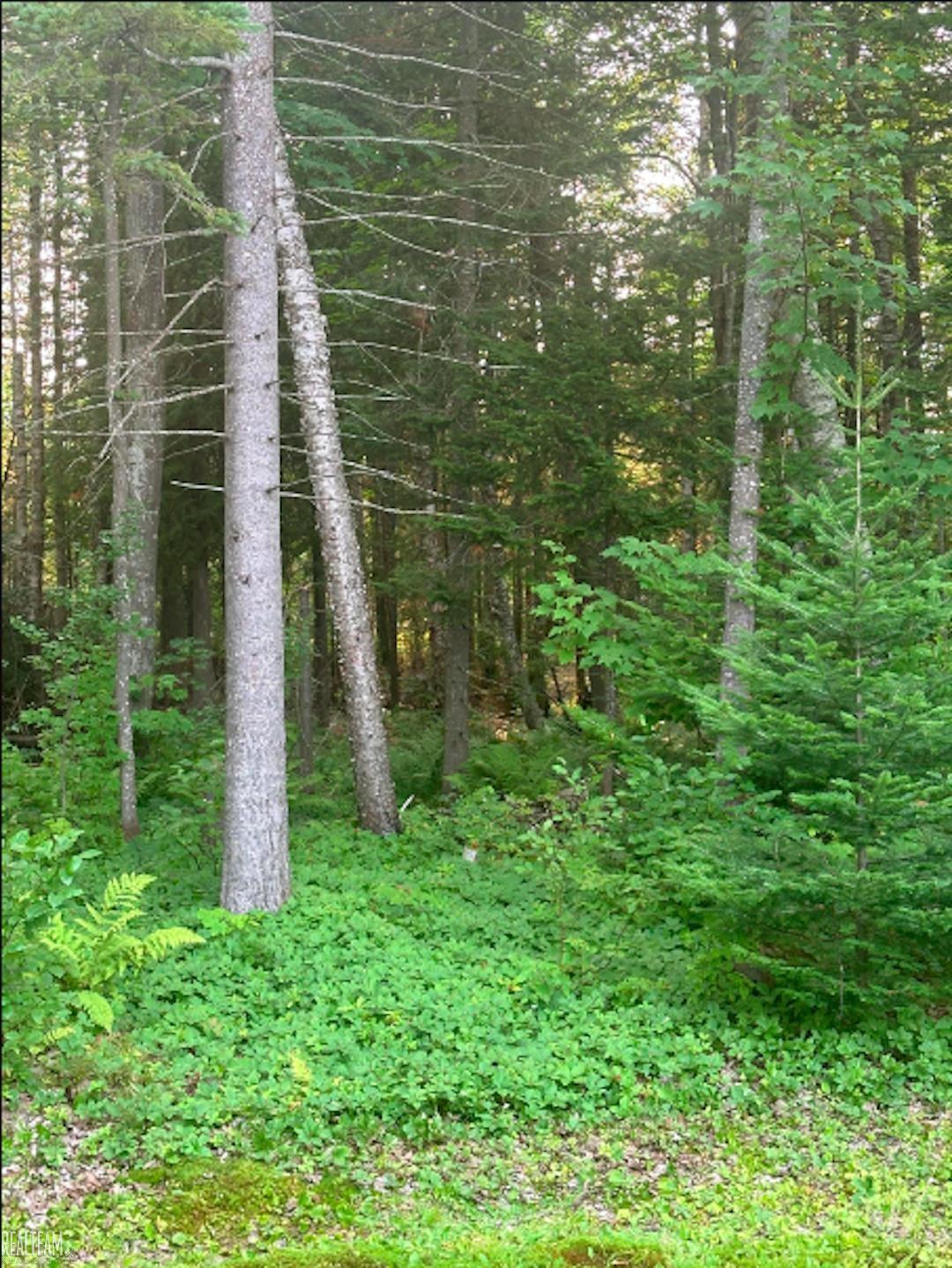 10403 North Whitefish Point Road Paradise, MI 49768 - Photo 13 of 18 50151260-d6199423-7553-4128-b8b8-49aa22b30967.JPG