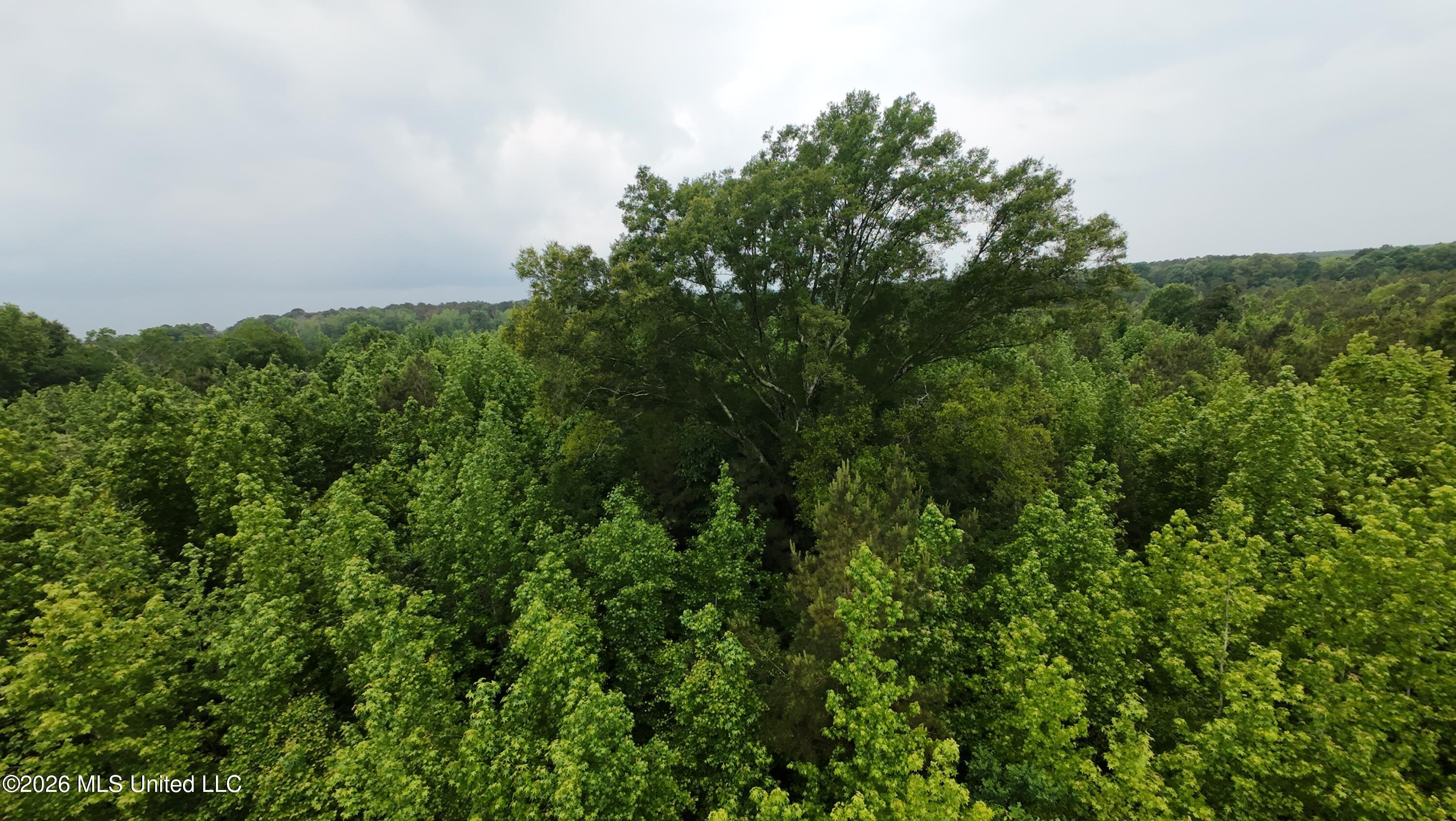 6936 Hillsboro-Ludlow Road Forest, MS 39074 - Photo 18 of 22 DJI_20260429131748_0147_D