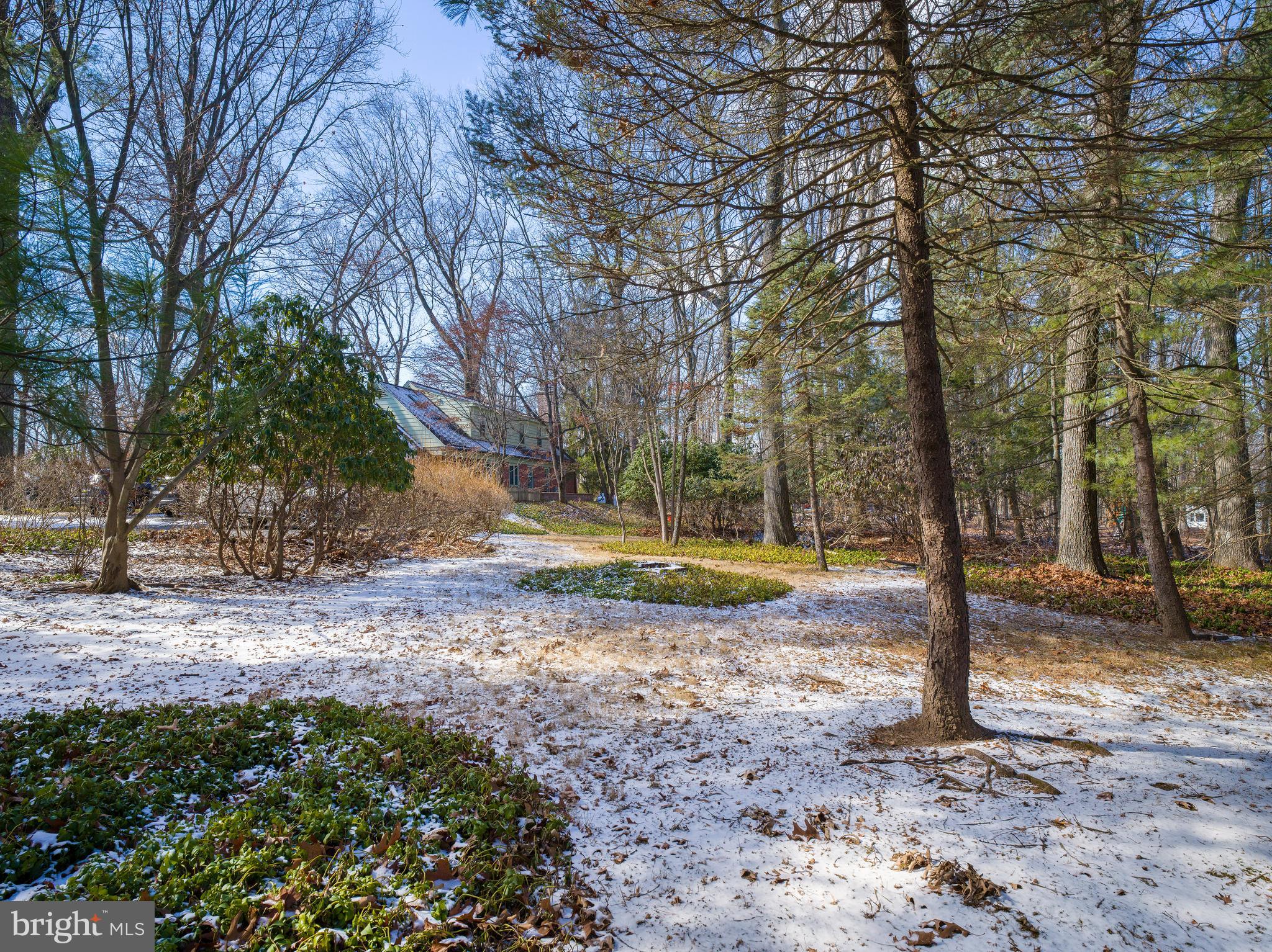 34 Ridgewood Road Wayne, PA 19087 - Photo 28 of 28 a view of a park with trees