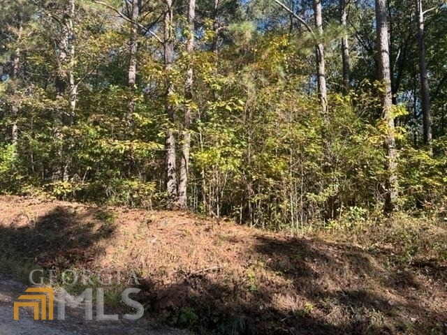 0 Old Lowell Mill Road Carrollton, GA 30116 - Photo 1 of 1 Gallery Image 1