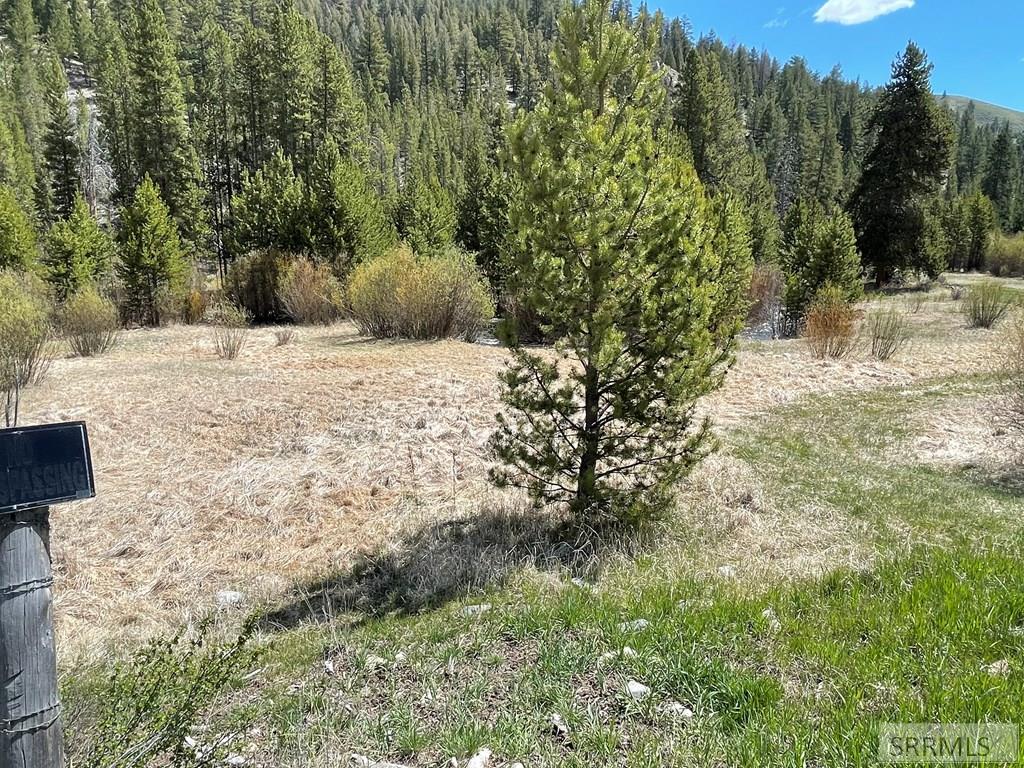 3591 Panther Creek Road Challis, ID 83226 - Photo 29 of 49