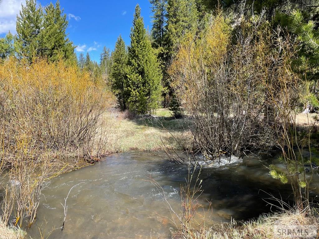 3591 Panther Creek Road Challis, ID 83226 - Photo 37 of 49
