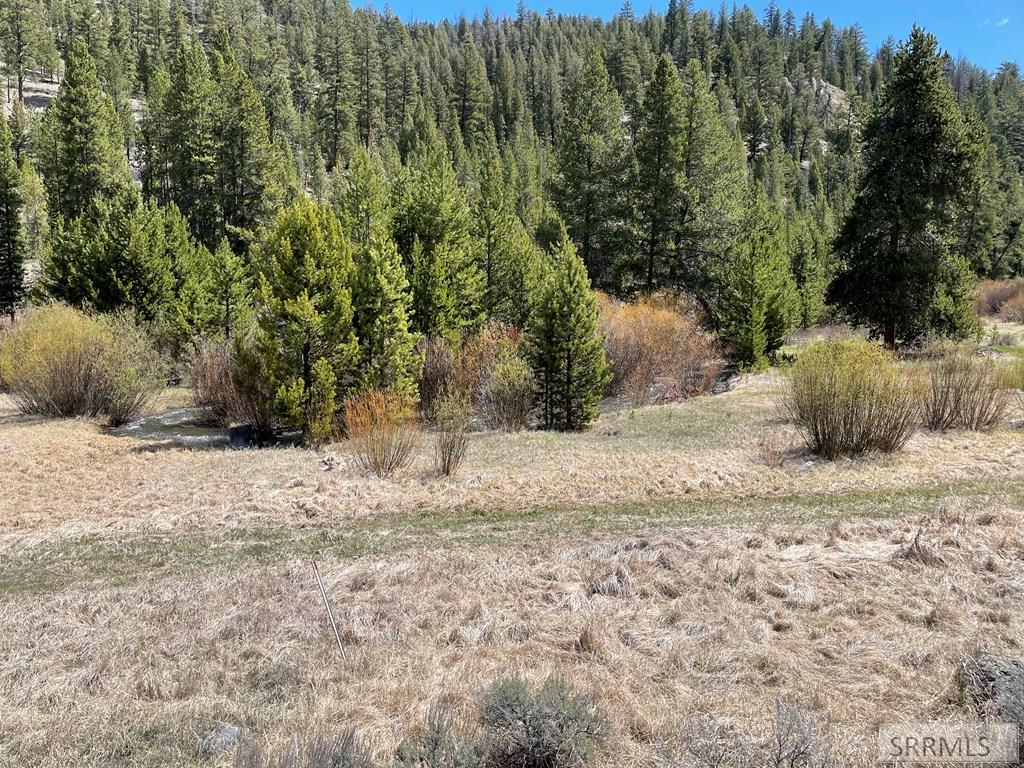 3591 Panther Creek Road Challis, ID 83226 - Photo 42 of 49