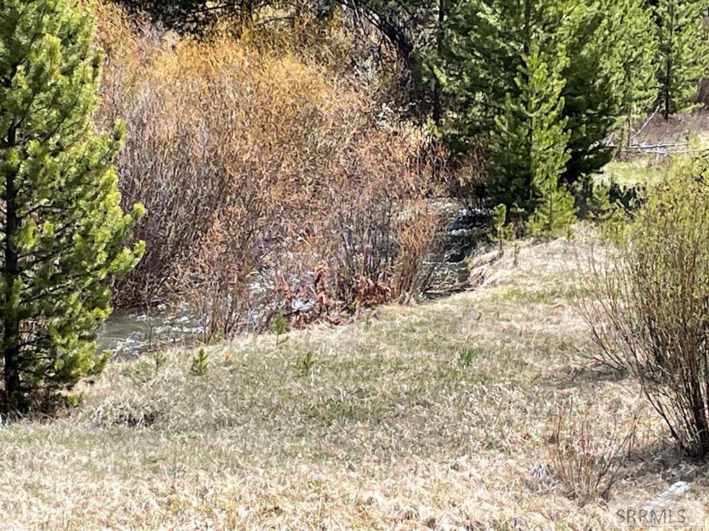 3591 Panther Creek Road Challis, ID 83226 - Photo 43 of 49