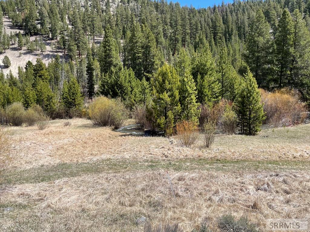 3591 Panther Creek Road Challis, ID 83226 - Photo 46 of 49