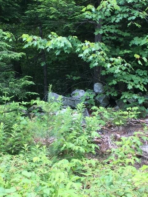 Lot 3 Dead River Road Bowdoin, ME 04287 - Photo 7 of 10 Photo
