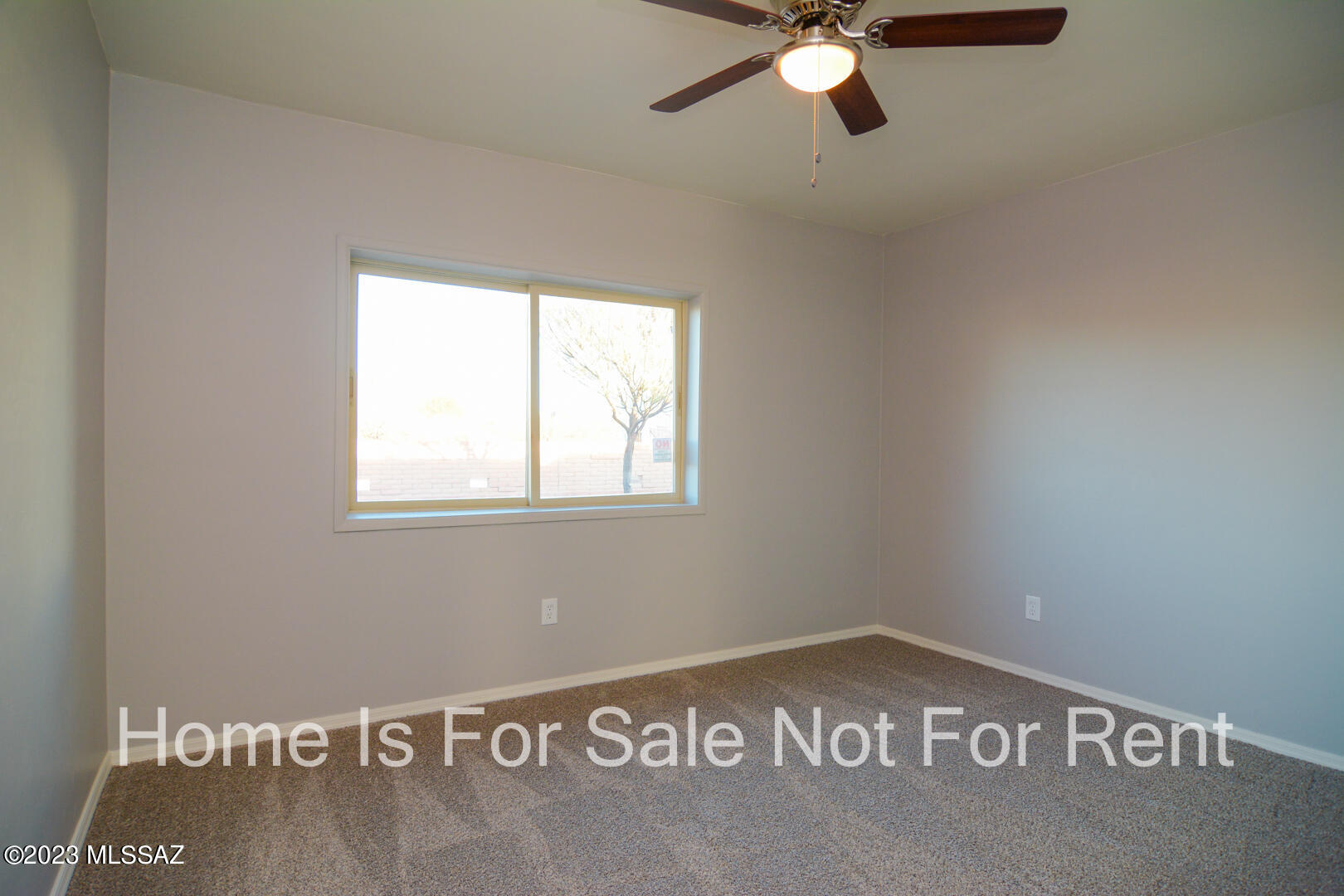 4855 West Bilby Road Tucson, AZ 85757 - Photo 22 of 48 Gallery Image 22