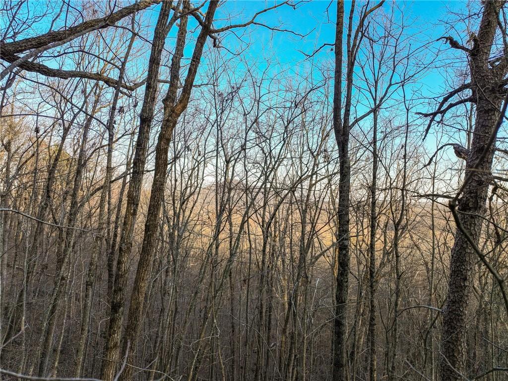 Lot 7 Mount Mincie Road Murrayville, GA 30564 - Photo 11 of 16 a view of forest