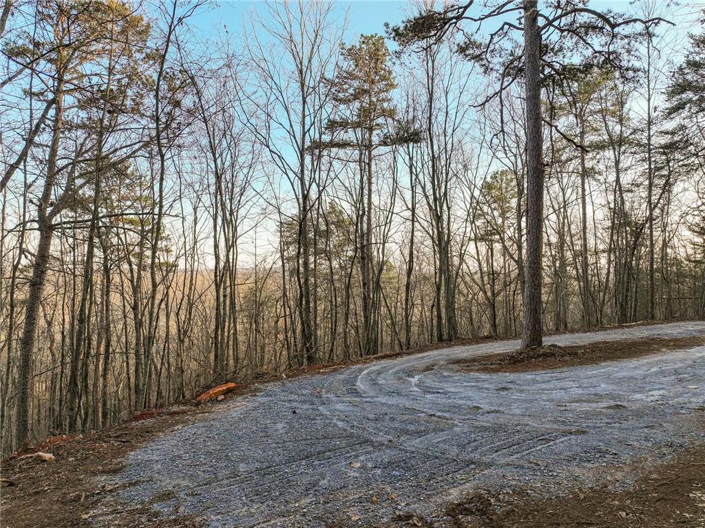 Lot 7 Mount Mincie Road Murrayville, GA 30564 - Photo 13 of 16 a view of backyard with large trees