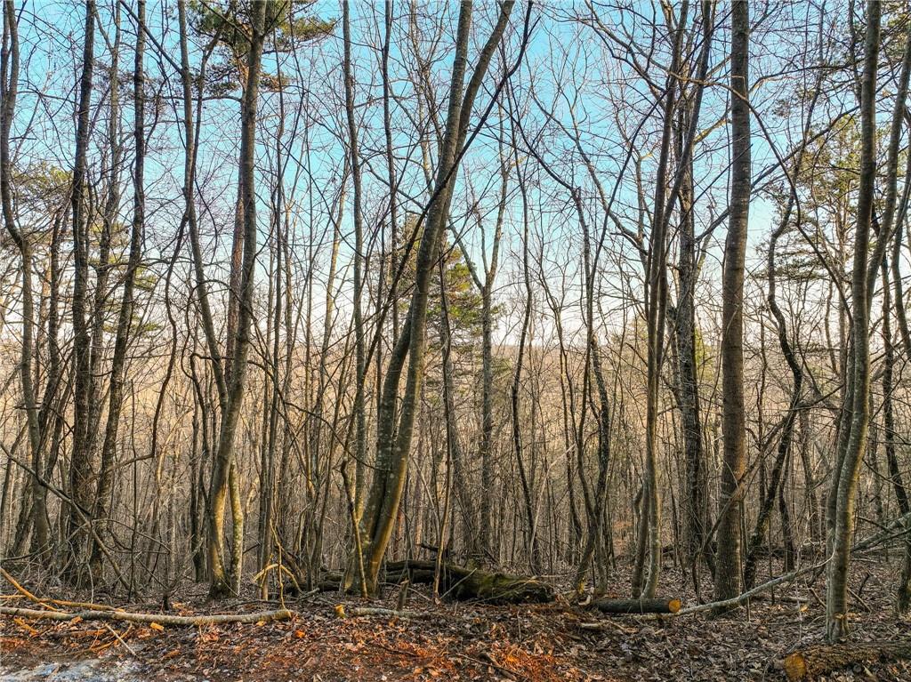 Lot 7 Mount Mincie Road Murrayville, GA 30564 - Photo 14 of 16 a backyard of a house with lots of trees