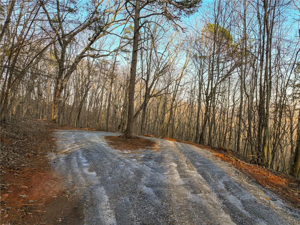 Lot 7 Mount Mincie Road Murrayville, GA 30564 - Photo 15 of 16 a view of backyard with large trees