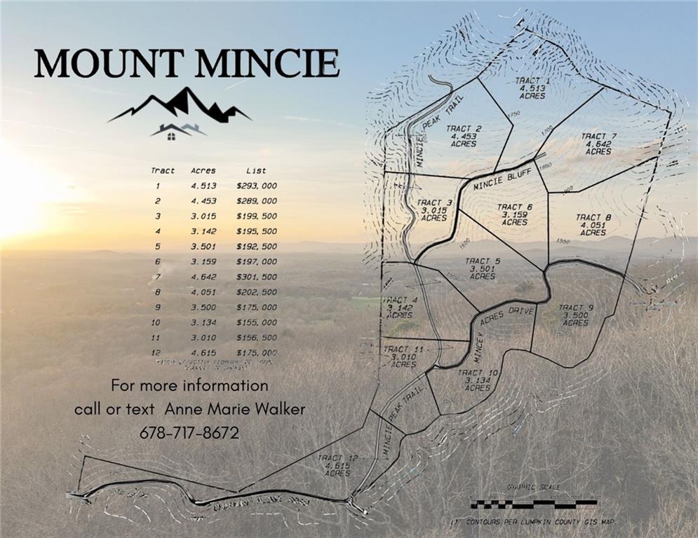 Lot 7 Mount Mincie Road Murrayville, GA 30564 - Photo 16 of 16