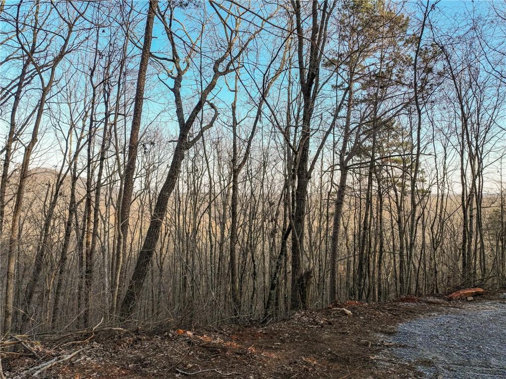 Lot 7 Mount Mincie Road Murrayville, GA 30564 - Photo 2 of 16 a view of backyard with tree