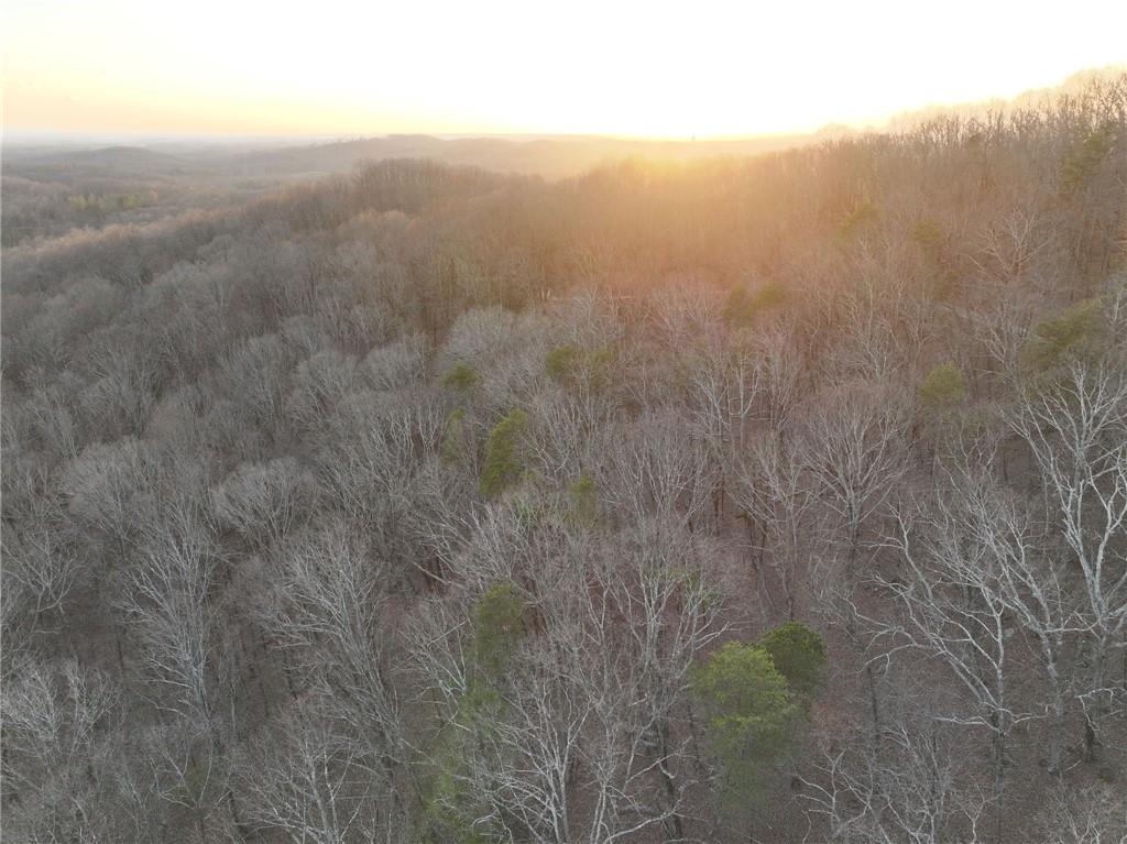 Lot 7 Mount Mincie Road Murrayville, GA 30564 - Photo 3 of 16 a view of a city with lush green forest