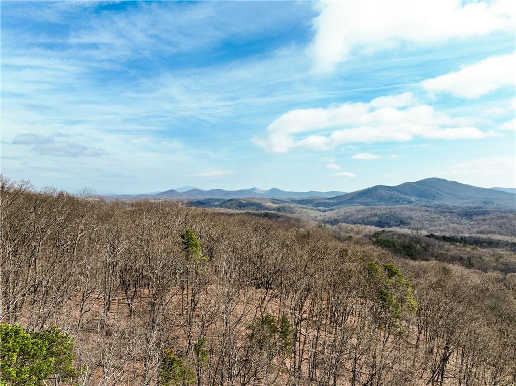 Lot 7 Mount Mincie Road Murrayville, GA 30564 - Photo 5 of 16 a view of lake with mountain