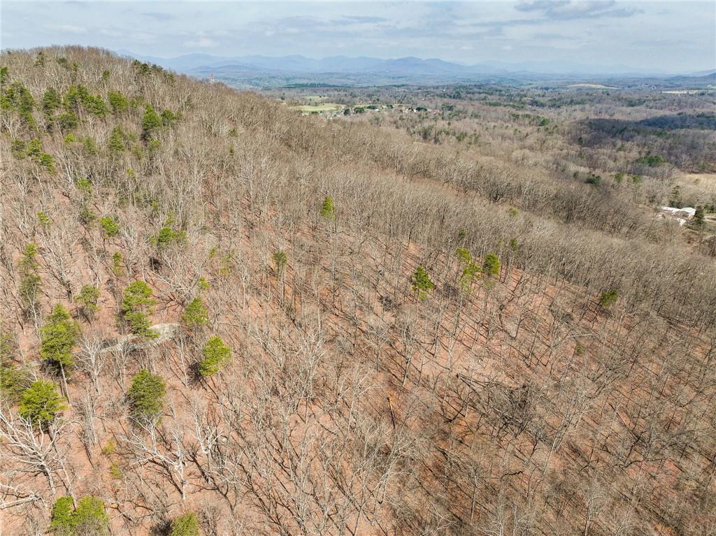 Lot 7 Mount Mincie Road Murrayville, GA 30564 - Photo 6 of 16 a view of a dry yard with wooden fence