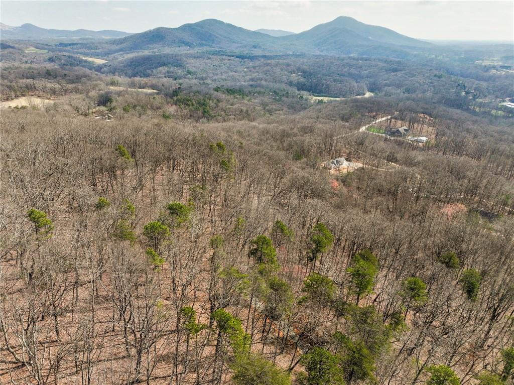 Lot 7 Mount Mincie Road Murrayville, GA 30564 - Photo 9 of 16 a view of mountain and a forest