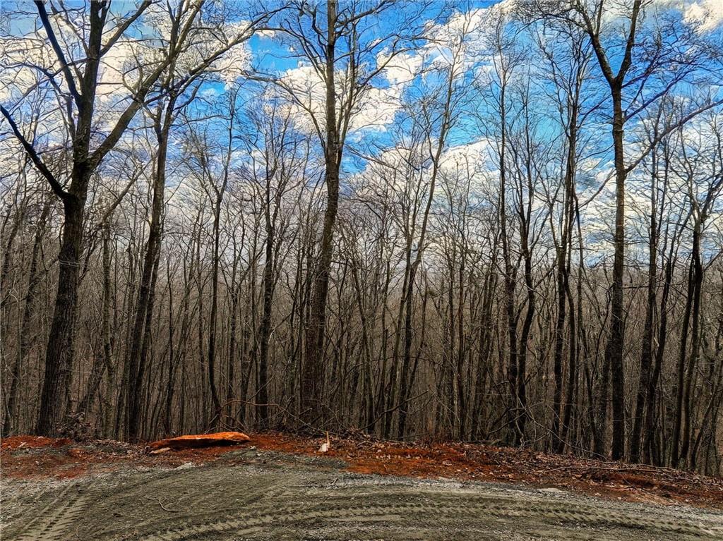 Lot 7 Mount Mincie Road Murrayville, GA 30564 - Photo 10 of 16 a view of outdoor space with fountain