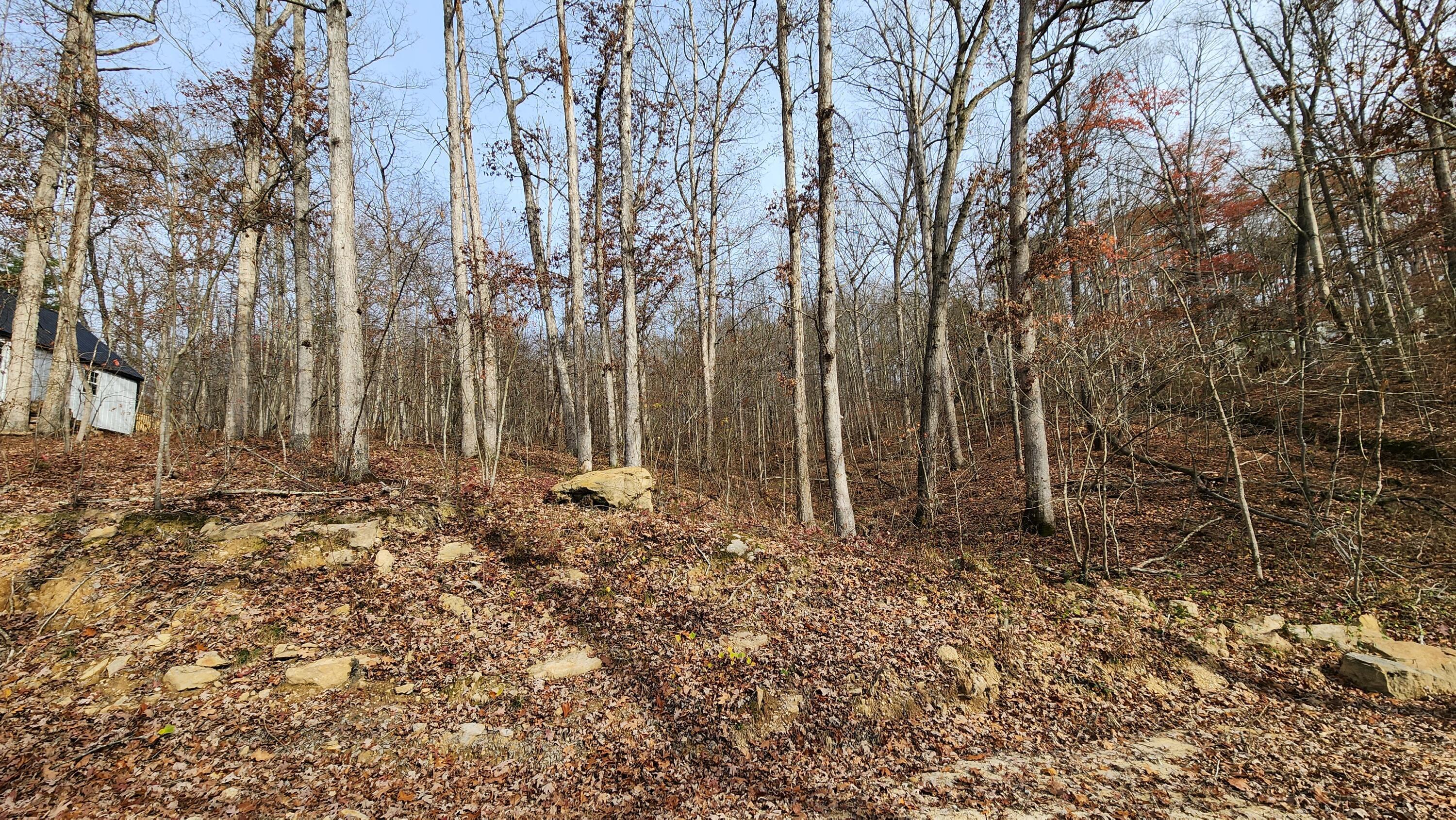 0 Jisco Road, Unit TRACT B) Jackson, OH 45640 - Photo 22 of 43 22