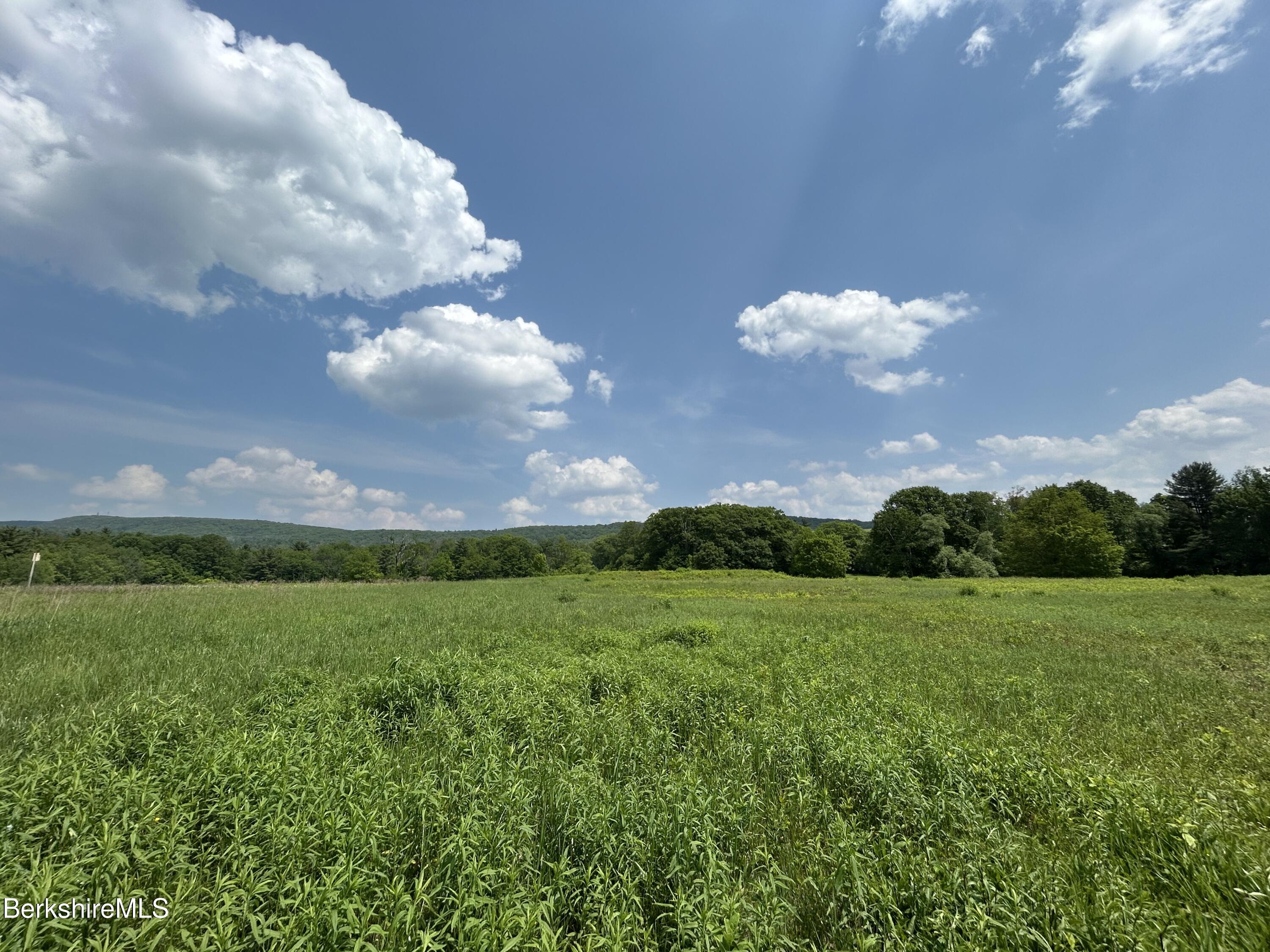 0 Swamp Road Richmond, MA 01254 - Photo 6 of 19 IMG_4515 2