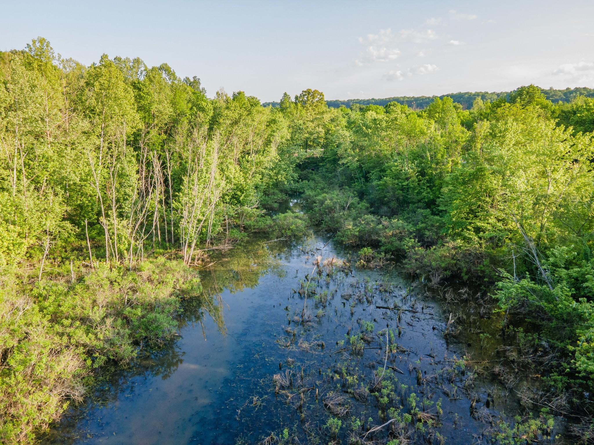 3383 Coble To Only Road Nunnelly, TN 37137 - Photo 69 of 77 Gallery Image 69