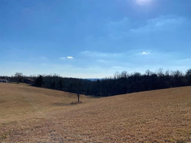 0 Thies Road Rising Sun, IN 47040 - Photo 3 of 4