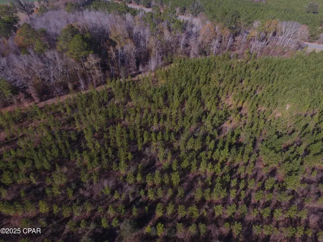 $50,000 | Tbd Lot 2 Tbd Road, Cottondale, FL 32431