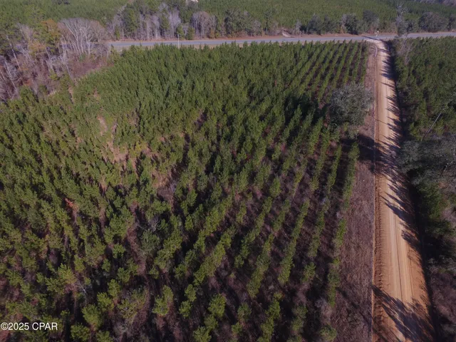 $50,000 | Tbd Lot 2 Tbd Road, Cottondale, FL 32431