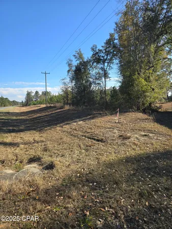 $50,000 | Tbd Lot 2 Tbd Road, Cottondale, FL 32431