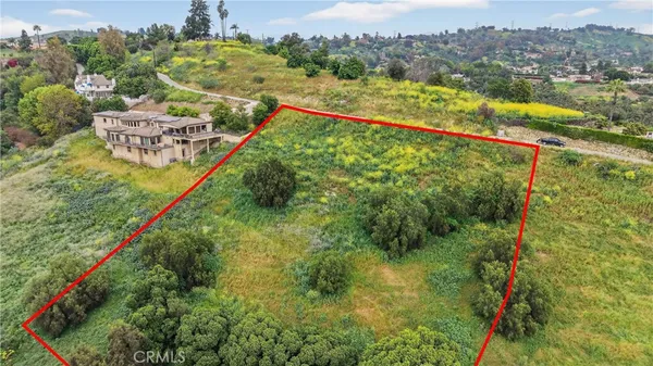 a view of a forest with a lake