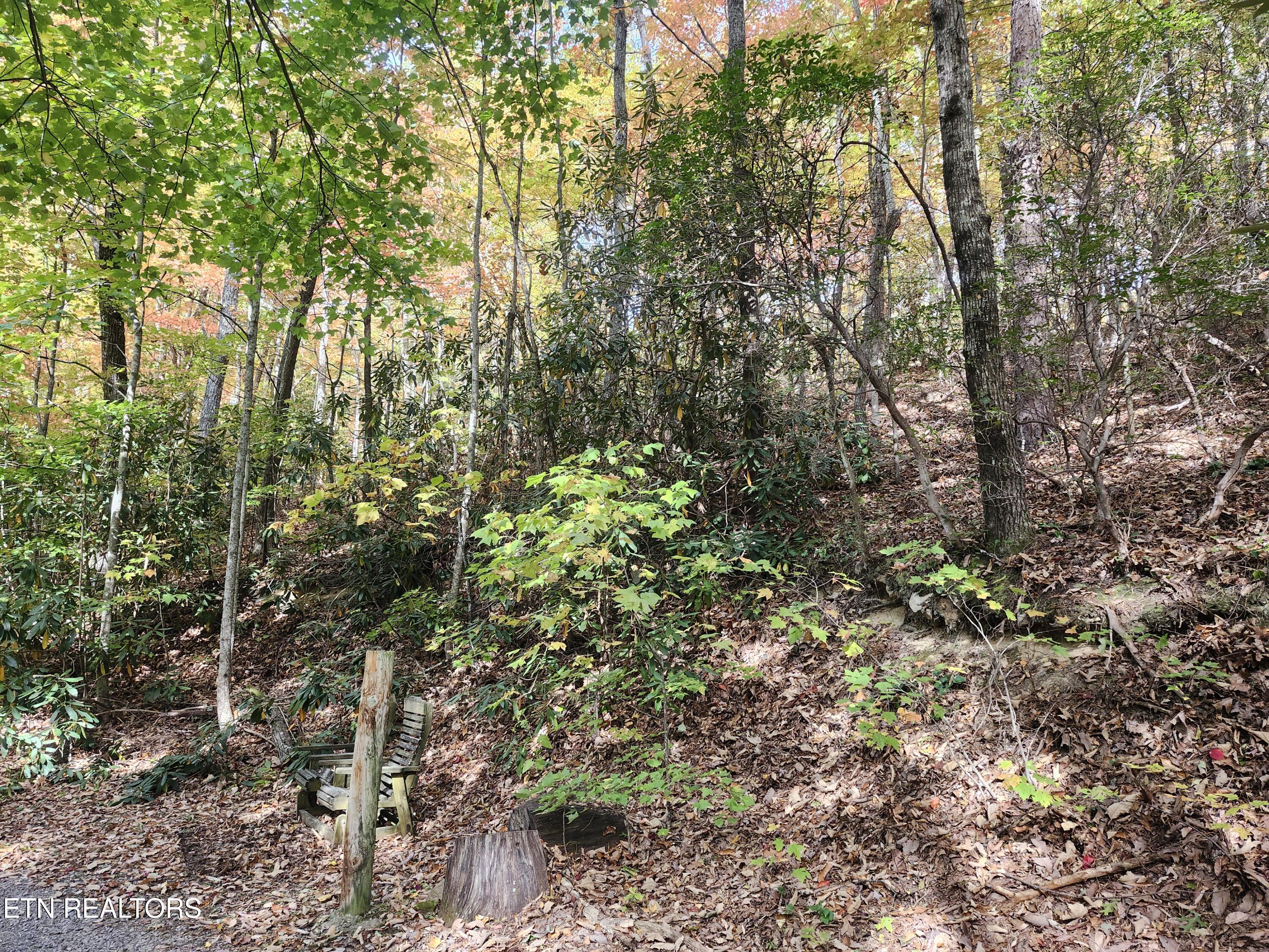 Lot 11 Bluff Mtn Road Sevierville, TN 37876 - Photo 1 of 15 Lot pic