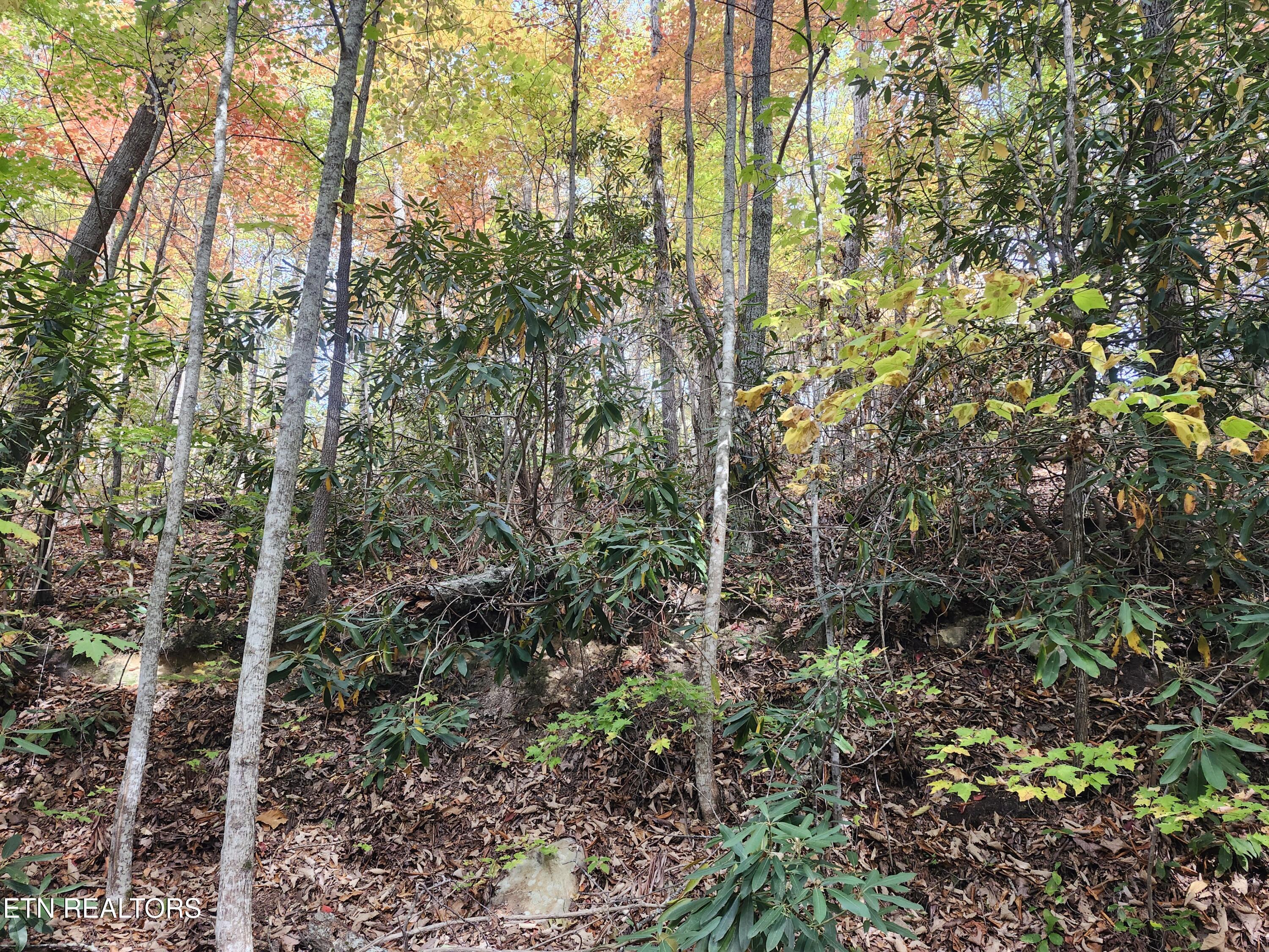 Lot 11 Bluff Mtn Road Sevierville, TN 37876 - Photo 2 of 15 Lot pic