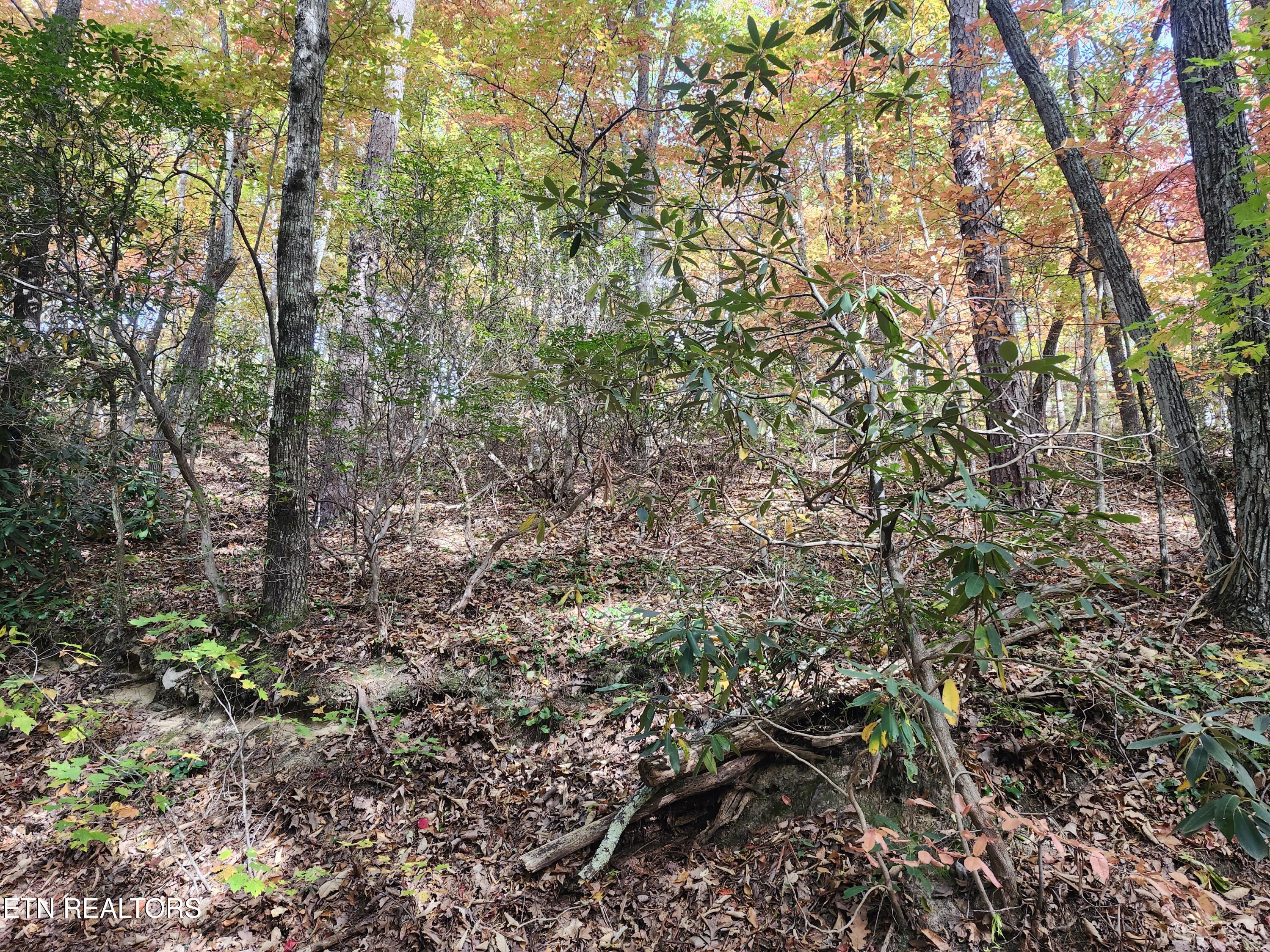 Lot 11 Bluff Mtn Road Sevierville, TN 37876 - Photo 3 of 15 Lot pic