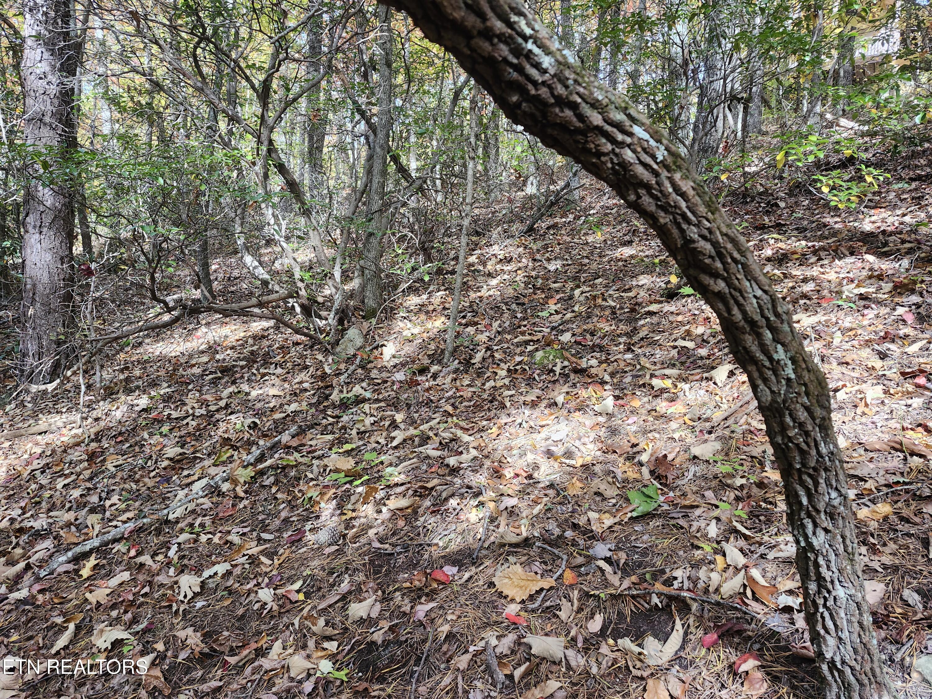 Lot 11 Bluff Mtn Road Sevierville, TN 37876 - Photo 4 of 15 Lot pic