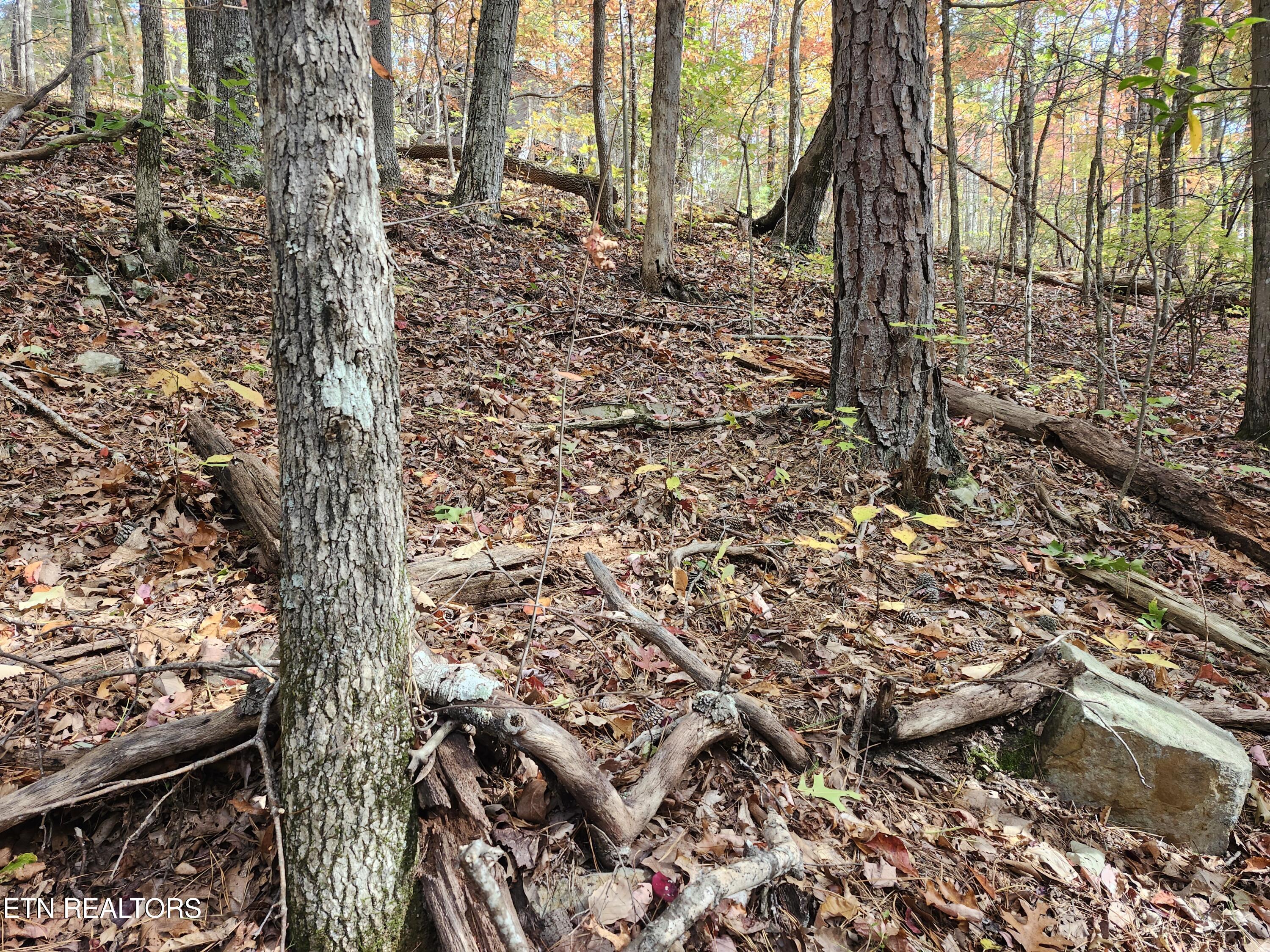 Lot 11 Bluff Mtn Road Sevierville, TN 37876 - Photo 6 of 15 Lot pic