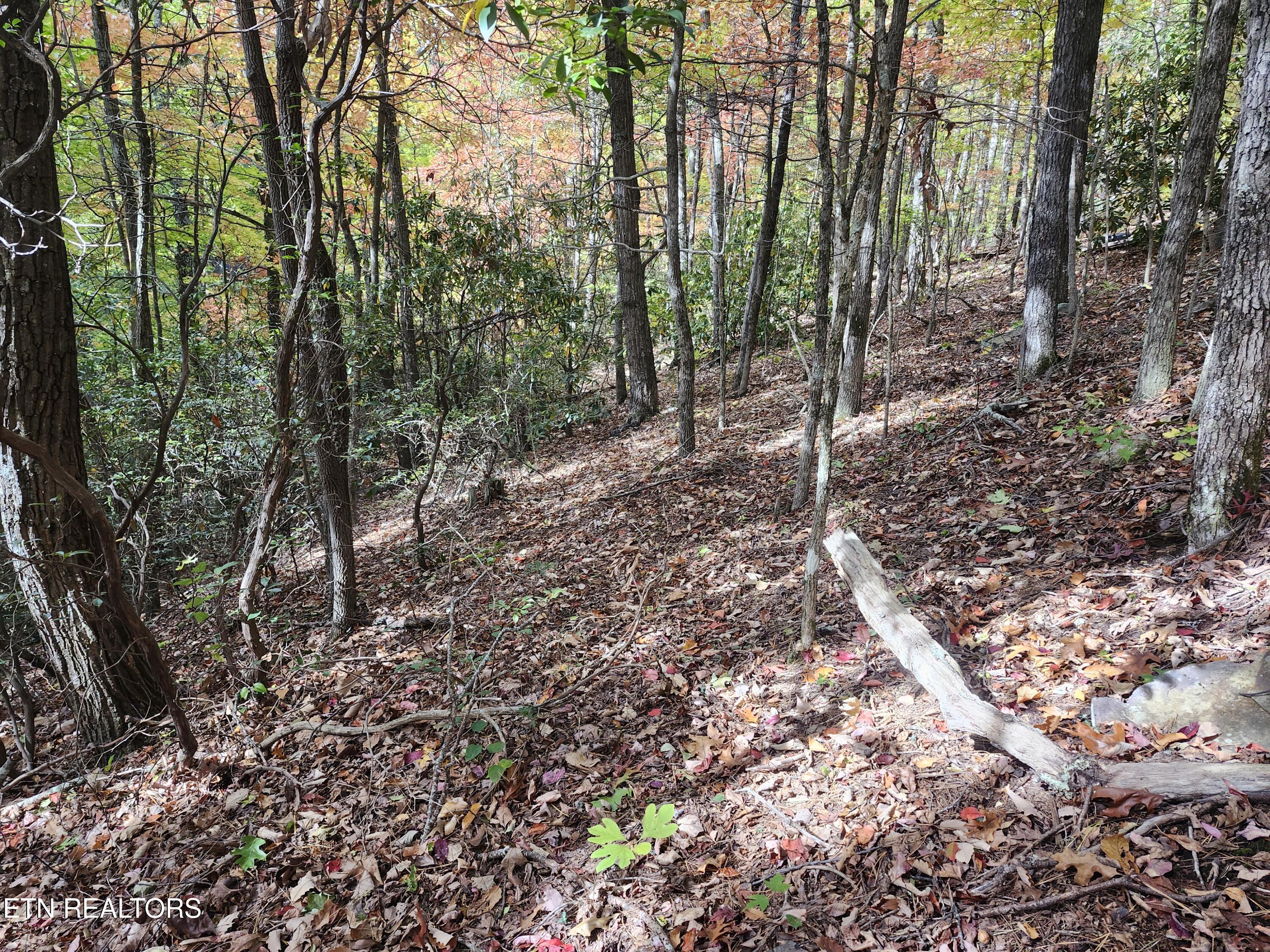 Lot 11 Bluff Mtn Road Sevierville, TN 37876 - Photo 7 of 15 Lot pic