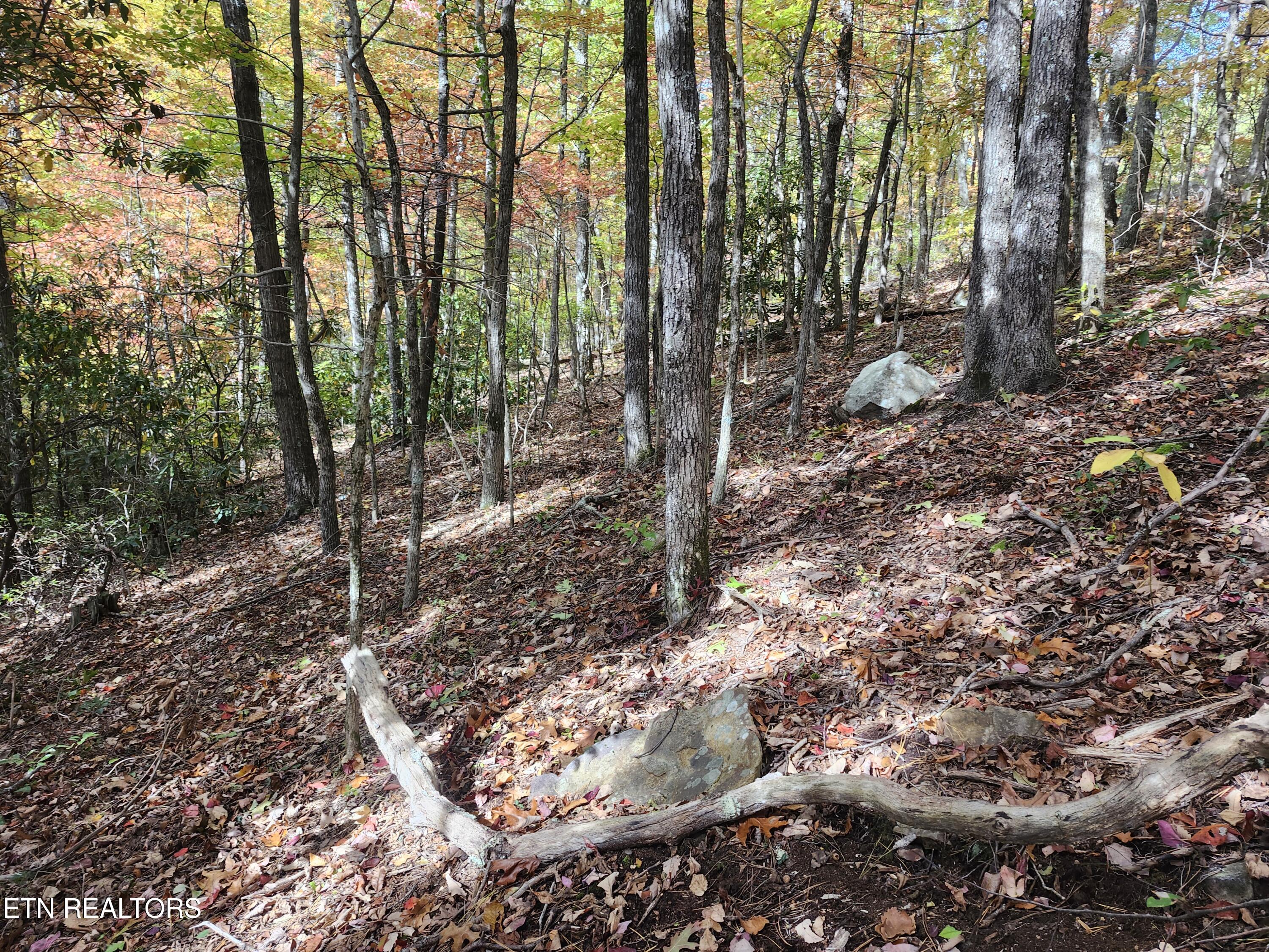 Lot 11 Bluff Mtn Road Sevierville, TN 37876 - Photo 8 of 15 Lot pic
