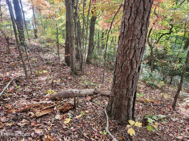$20,000 | Lot 11 Bluff Mtn Road, Sevierville, TN 37876