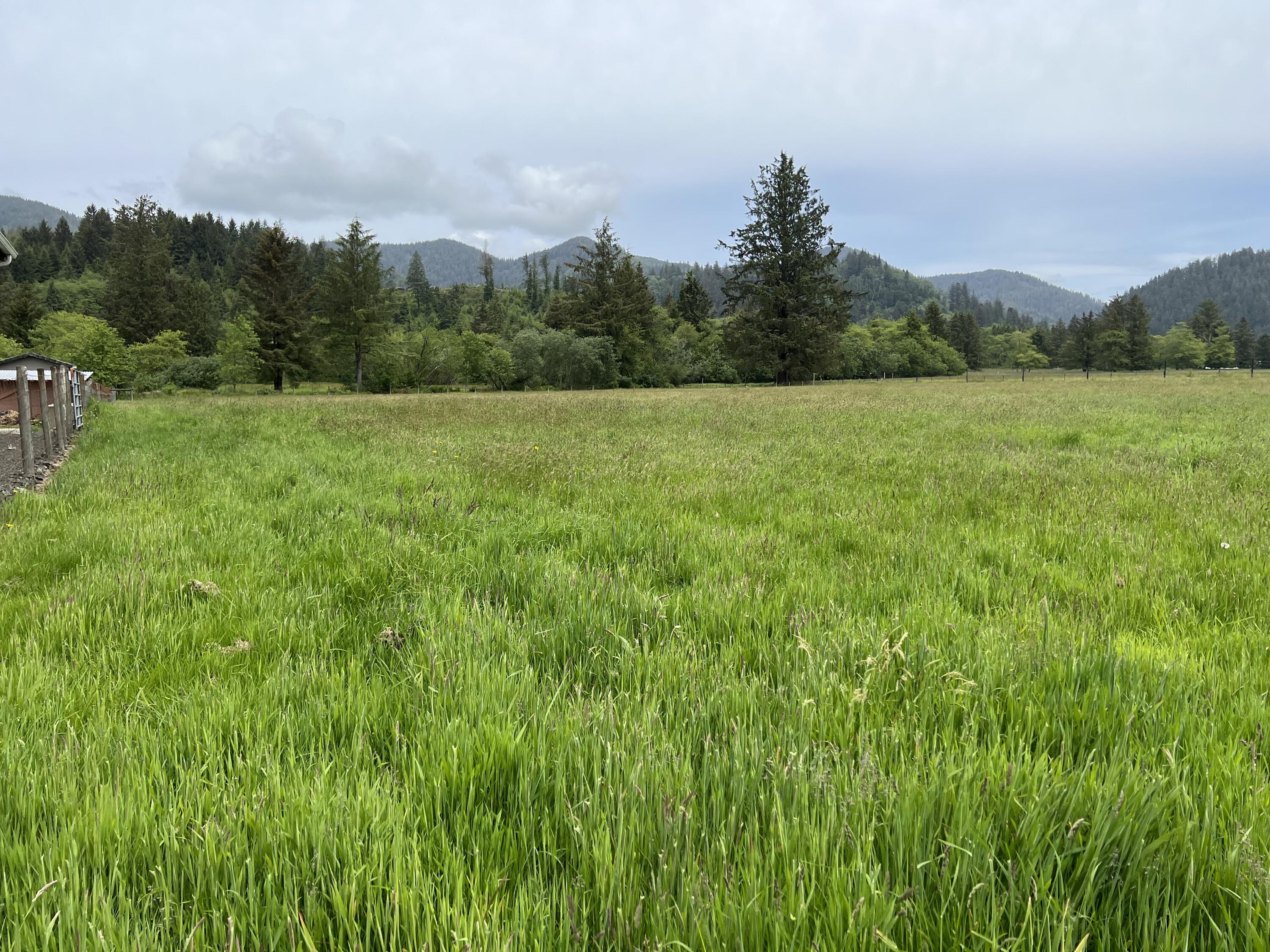 2902 Alderbrook Road Tillamook, OR 97141 - Photo 10 of 26 IMG_1900
