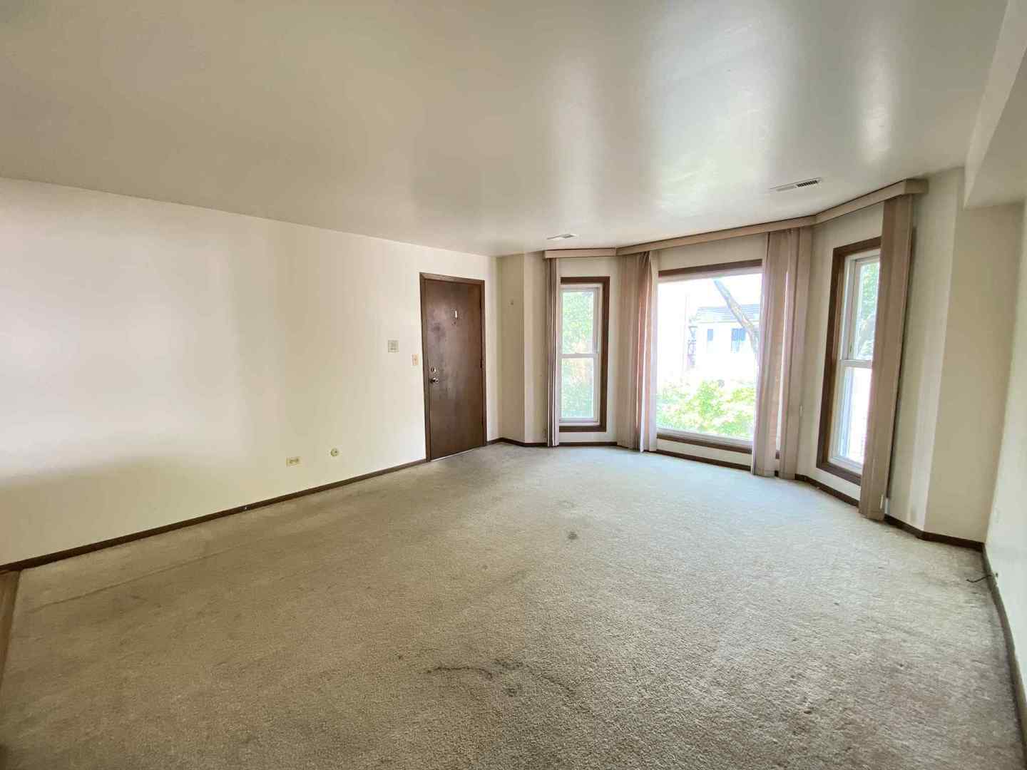 919 South Carpenter Street, Unit 3N Chicago, IL 60607 - Photo 2 of 3