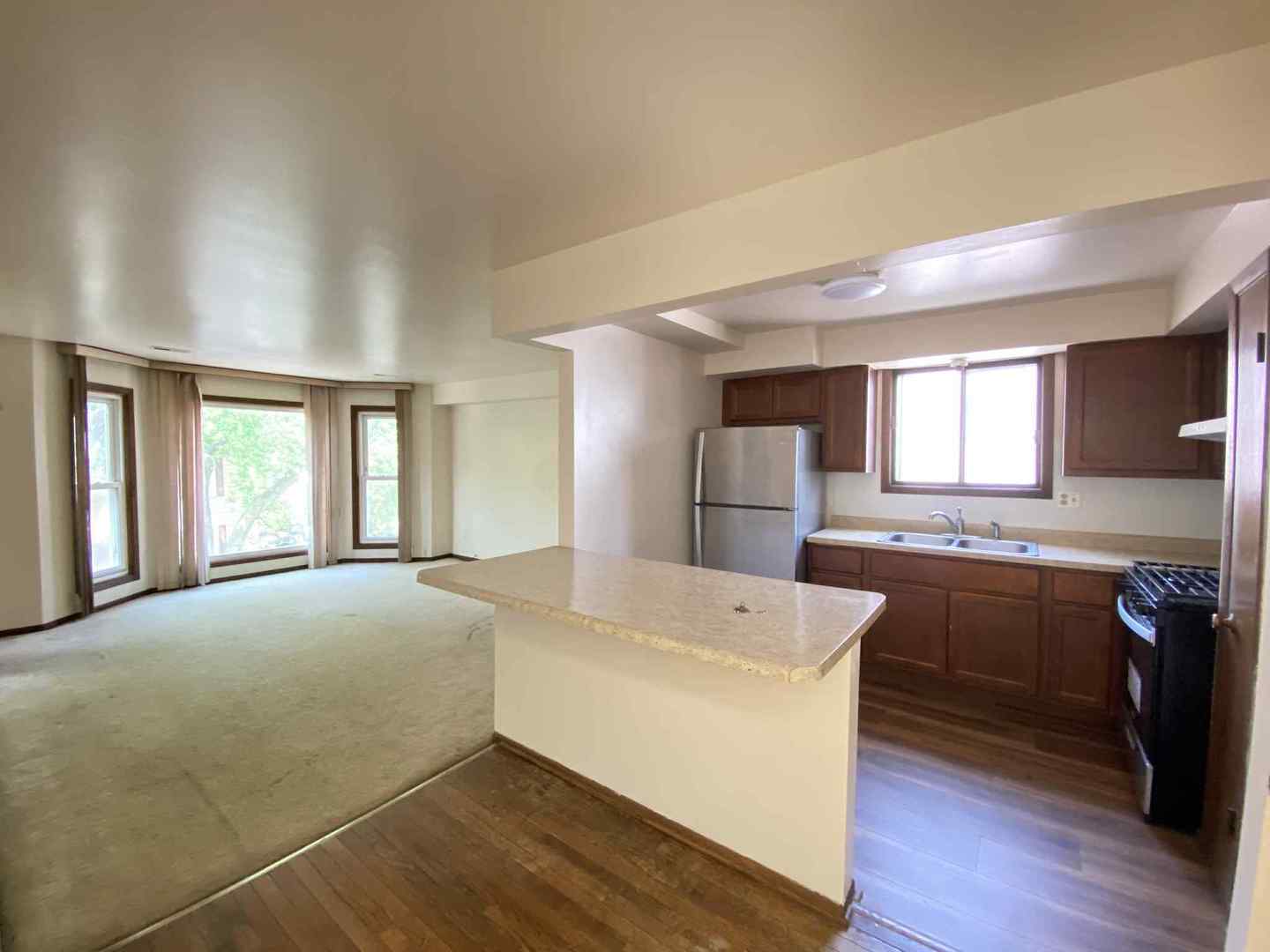 919 South Carpenter Street, Unit 3N Chicago, IL 60607 - Photo 3 of 3