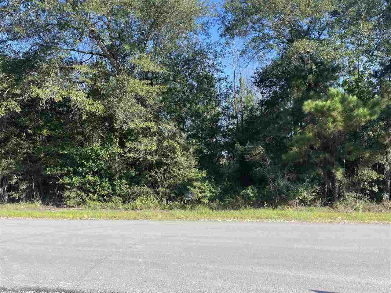 Gore Store Rd Village Mills Kountze, TX 77625 - Photo 1 of 1