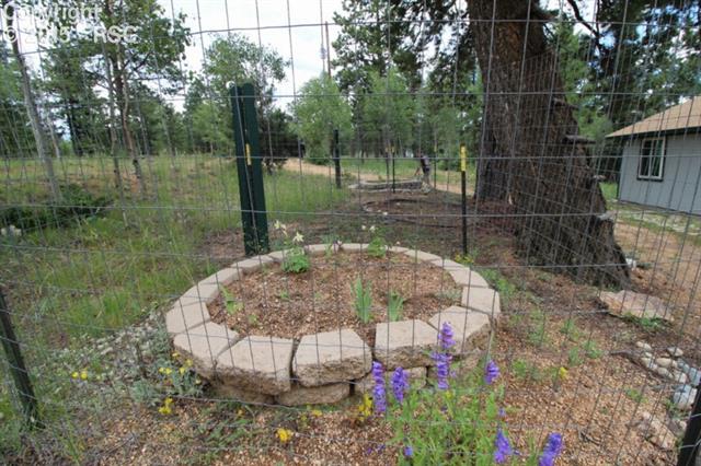 68 Snowhill Road Divide, CO 80814 - Photo 24 of 24 Gallery Image 24