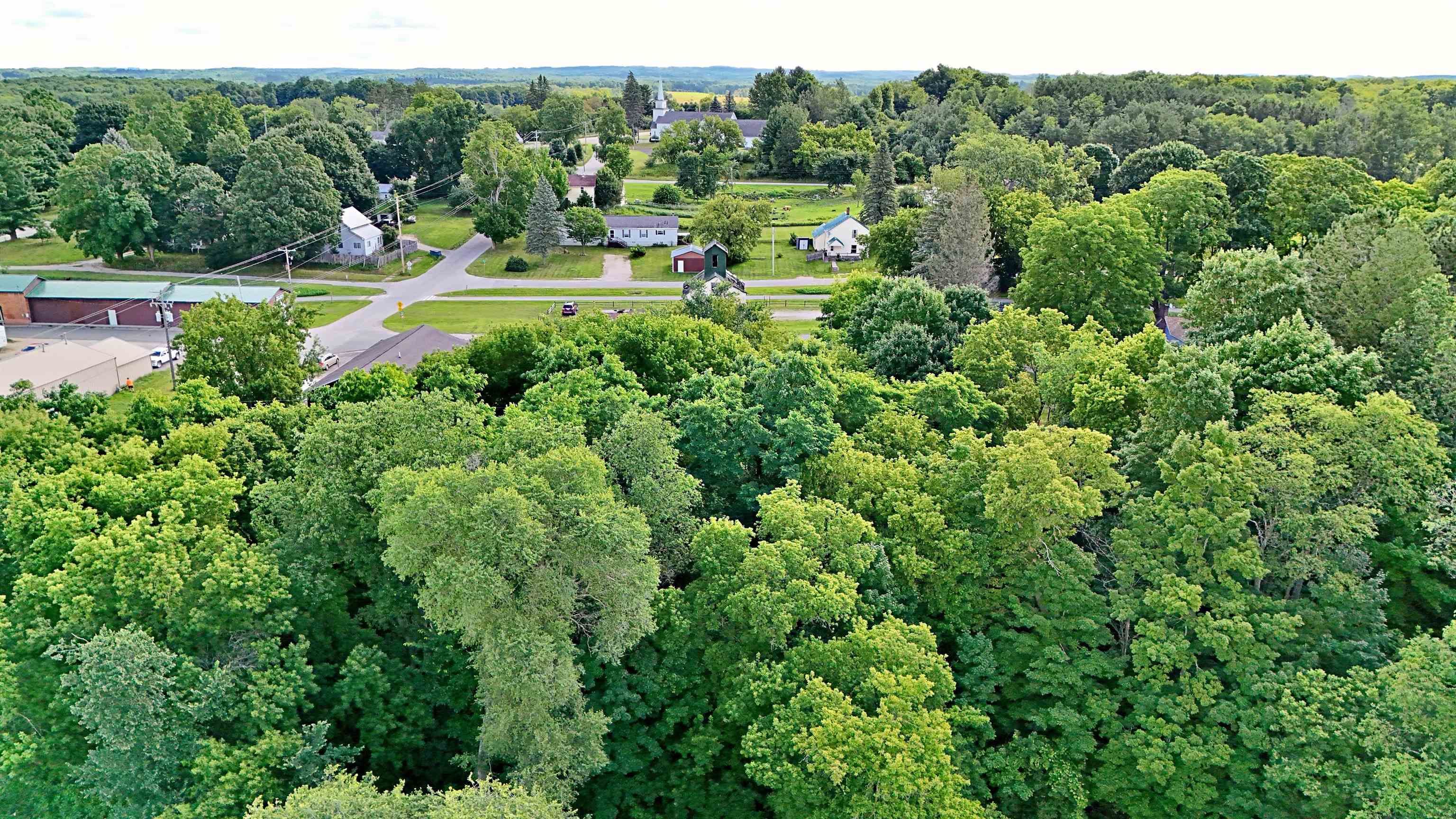 206 Howard Tustin, MI 49688 - Photo 7 of 31