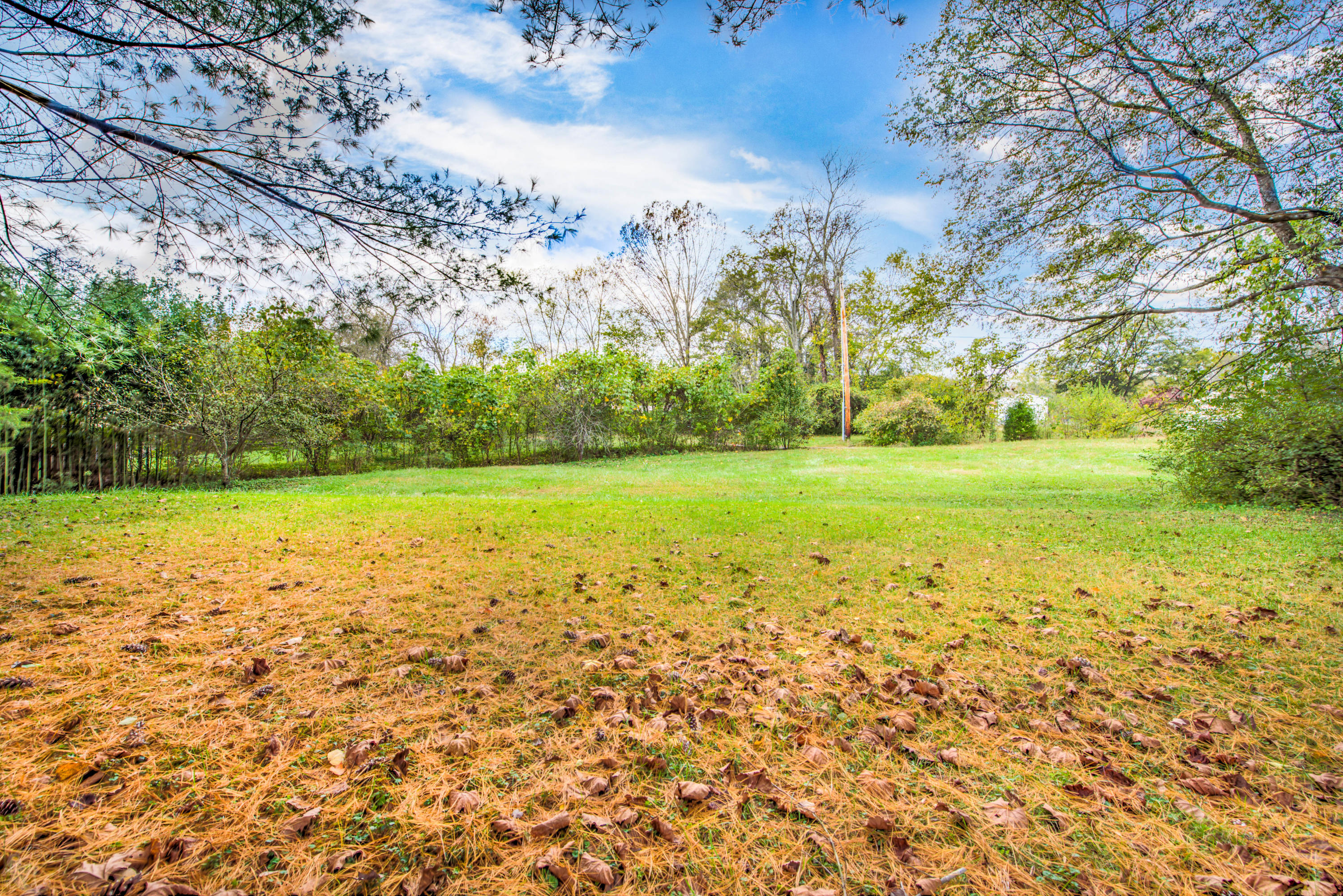 126 West Lincoln Road Oak Ridge, TN 37830 - Photo 26 of 30 26