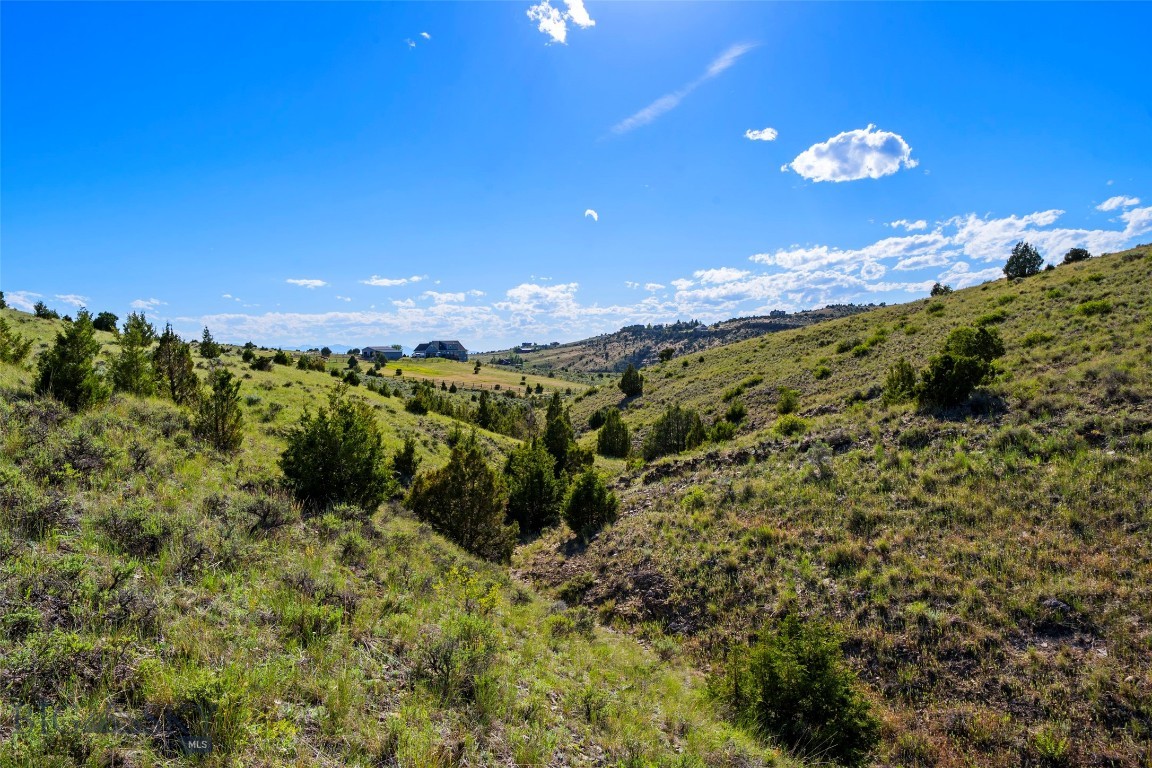 Tbd Twin River Cutoff Road Manhattan, MT 59741 - Photo 16 of 48 Gallery Image 16
